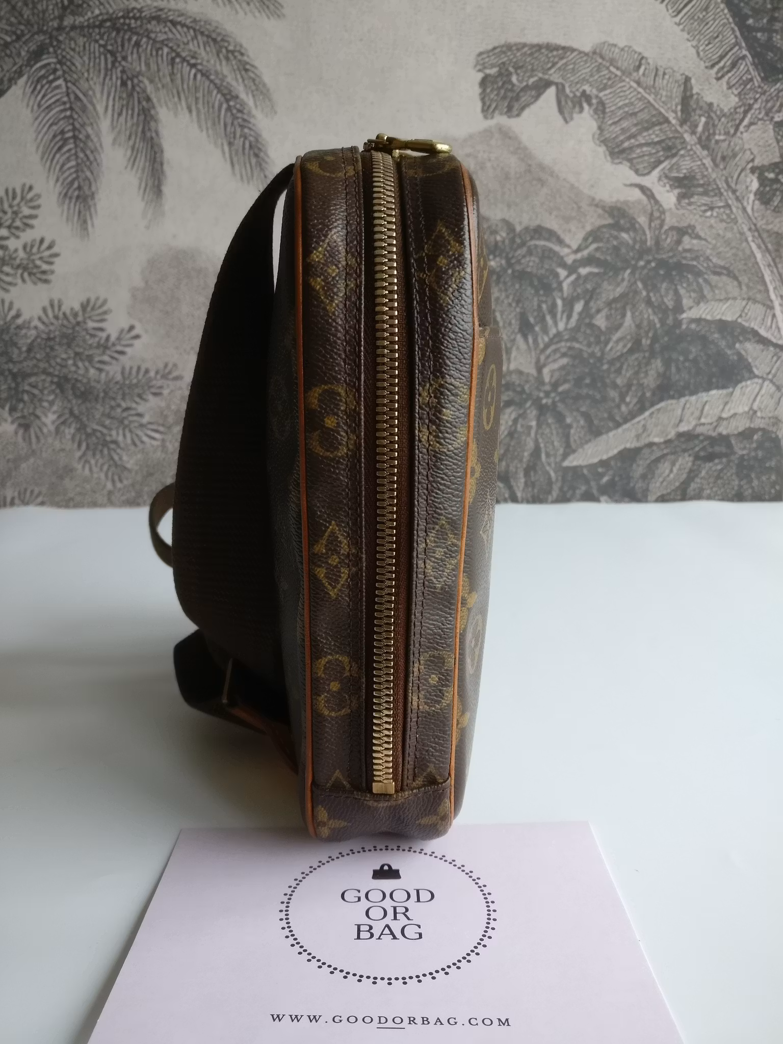 Louis Vuitton Pochette Gange bumbag/belt bag