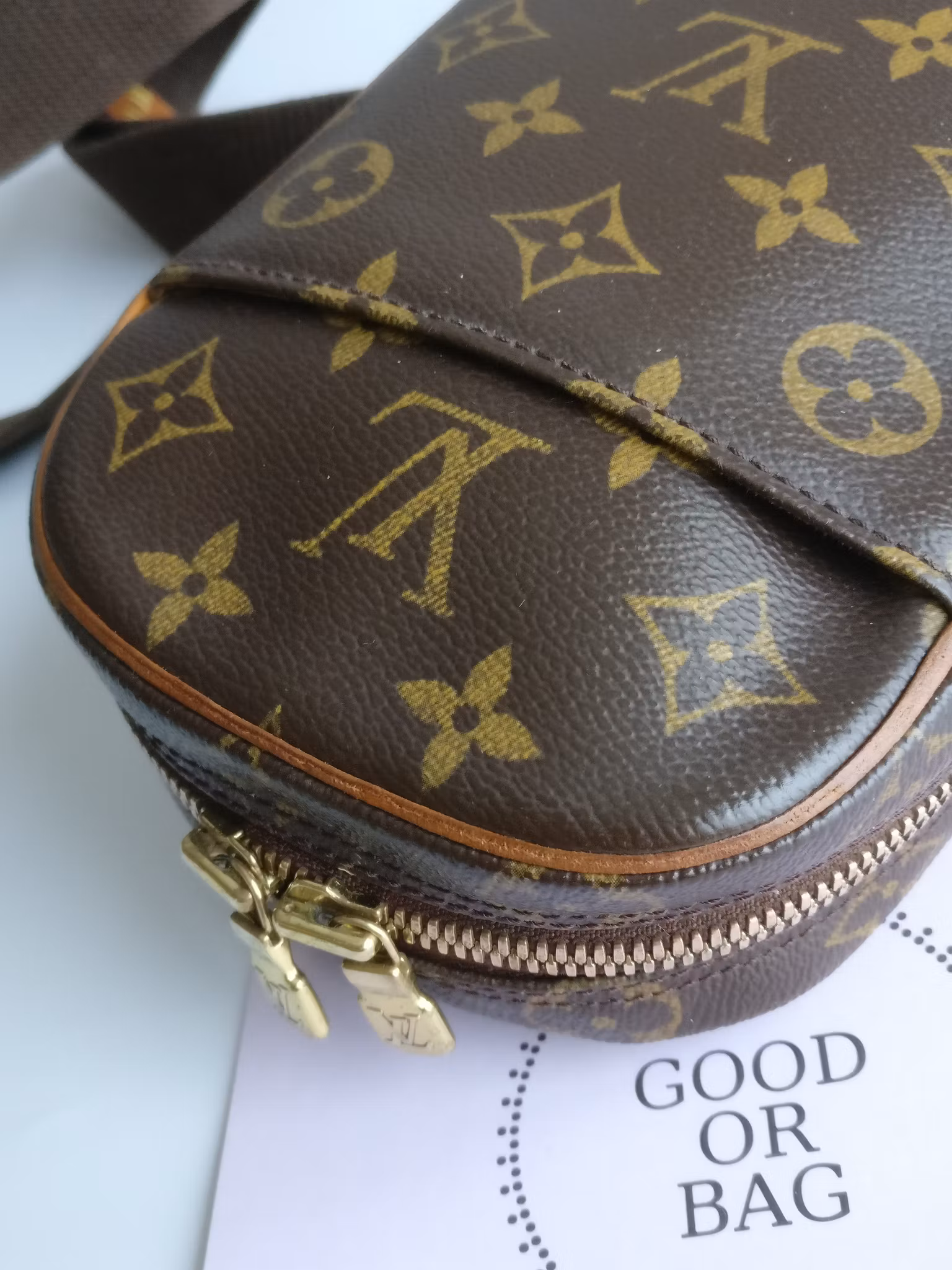 Louis Vuitton Pochette Gange bumbag/belt bag