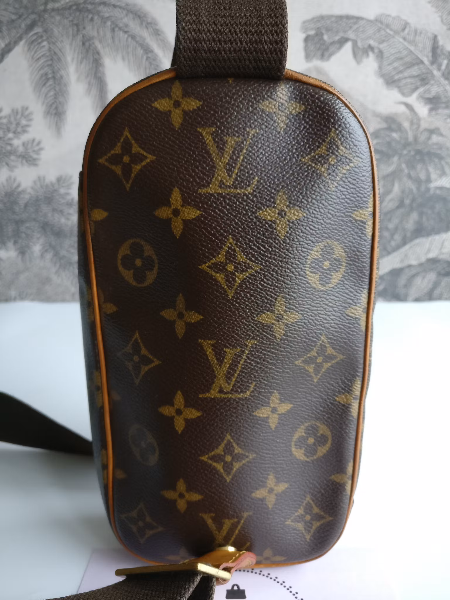 Louis Vuitton Pochette Gange bumbag/belt bag
