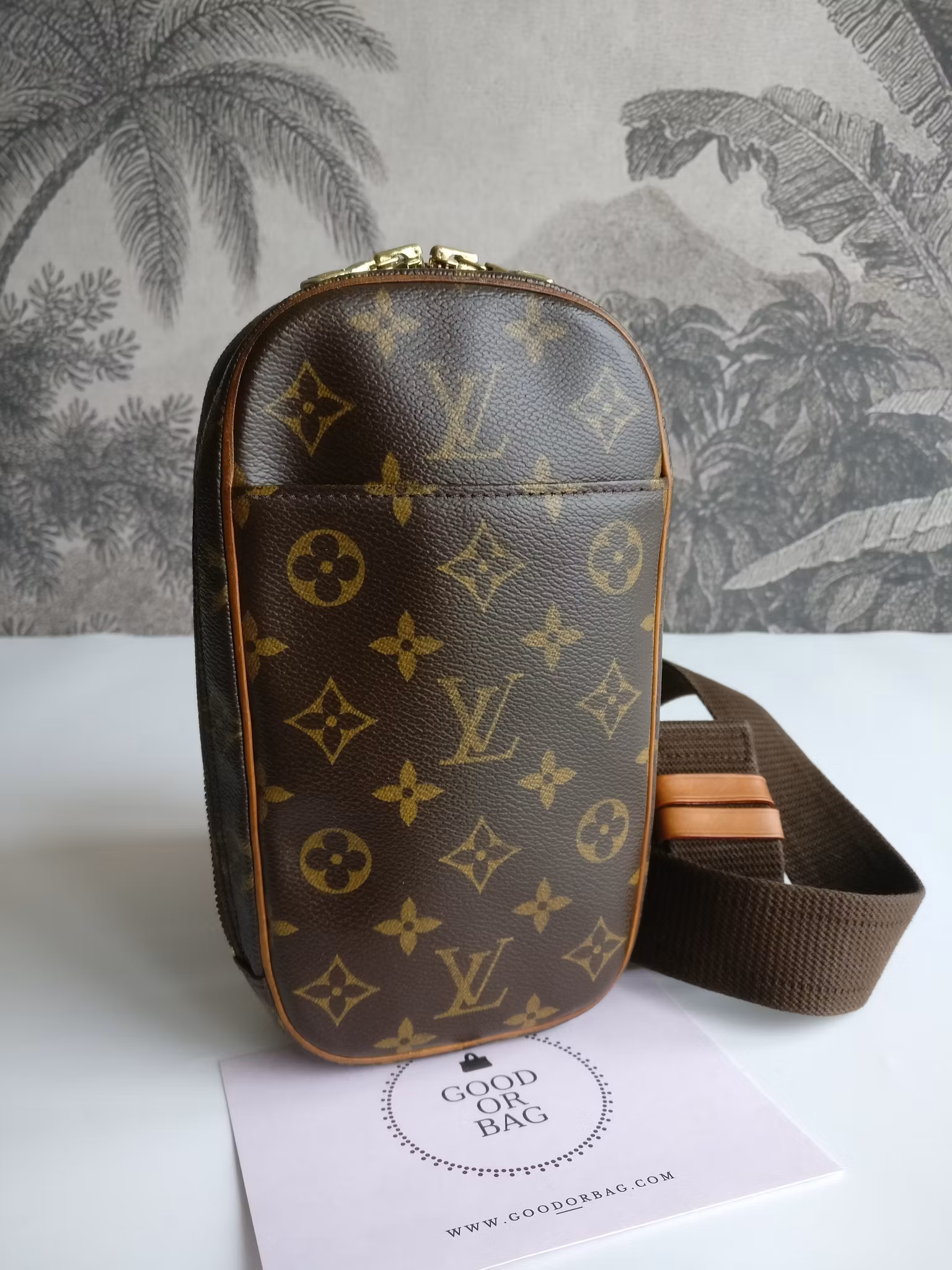 Louis Vuitton Pochette Gange bumbag/belt bag