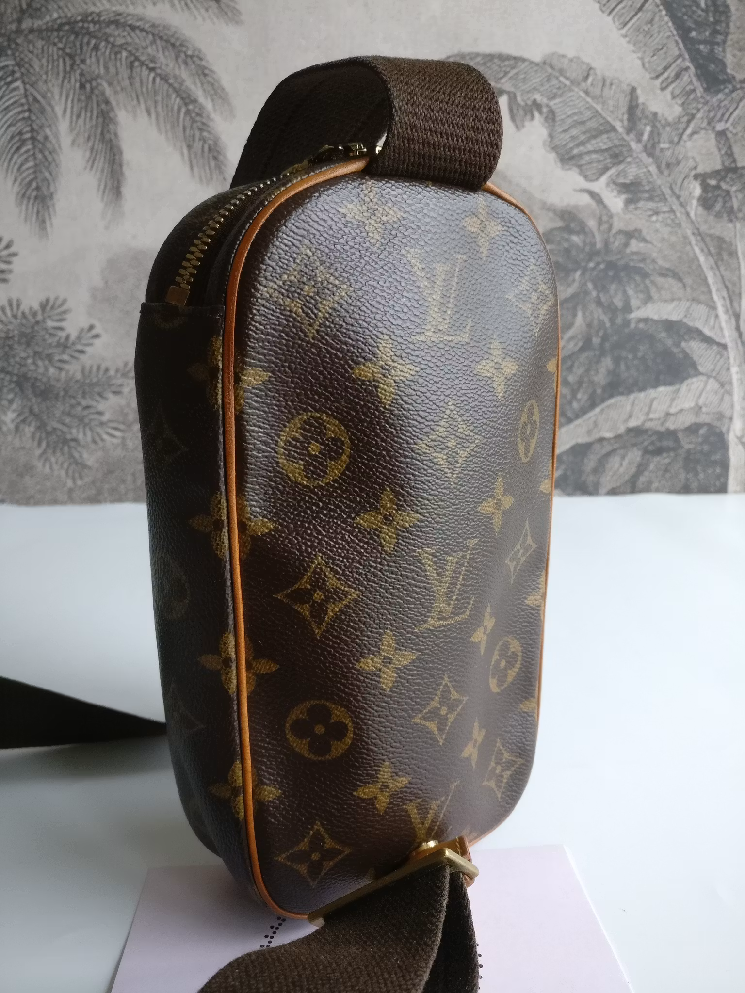 Louis Vuitton Pochette Gange bumbag/belt bag