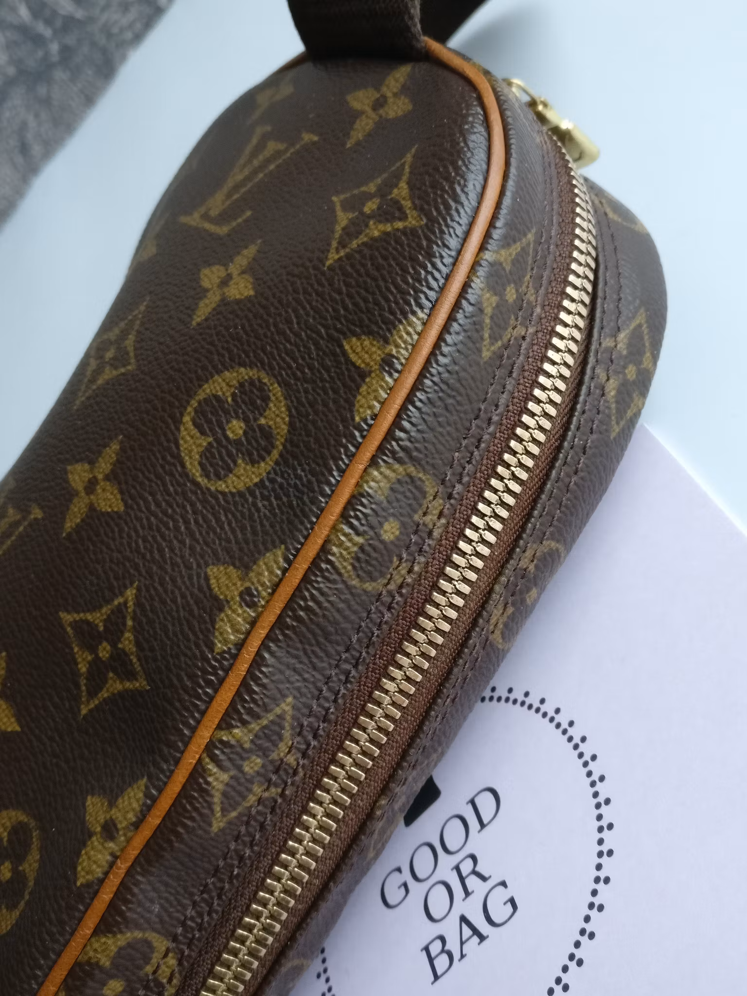 Louis Vuitton Pochette Gange bumbag/belt bag
