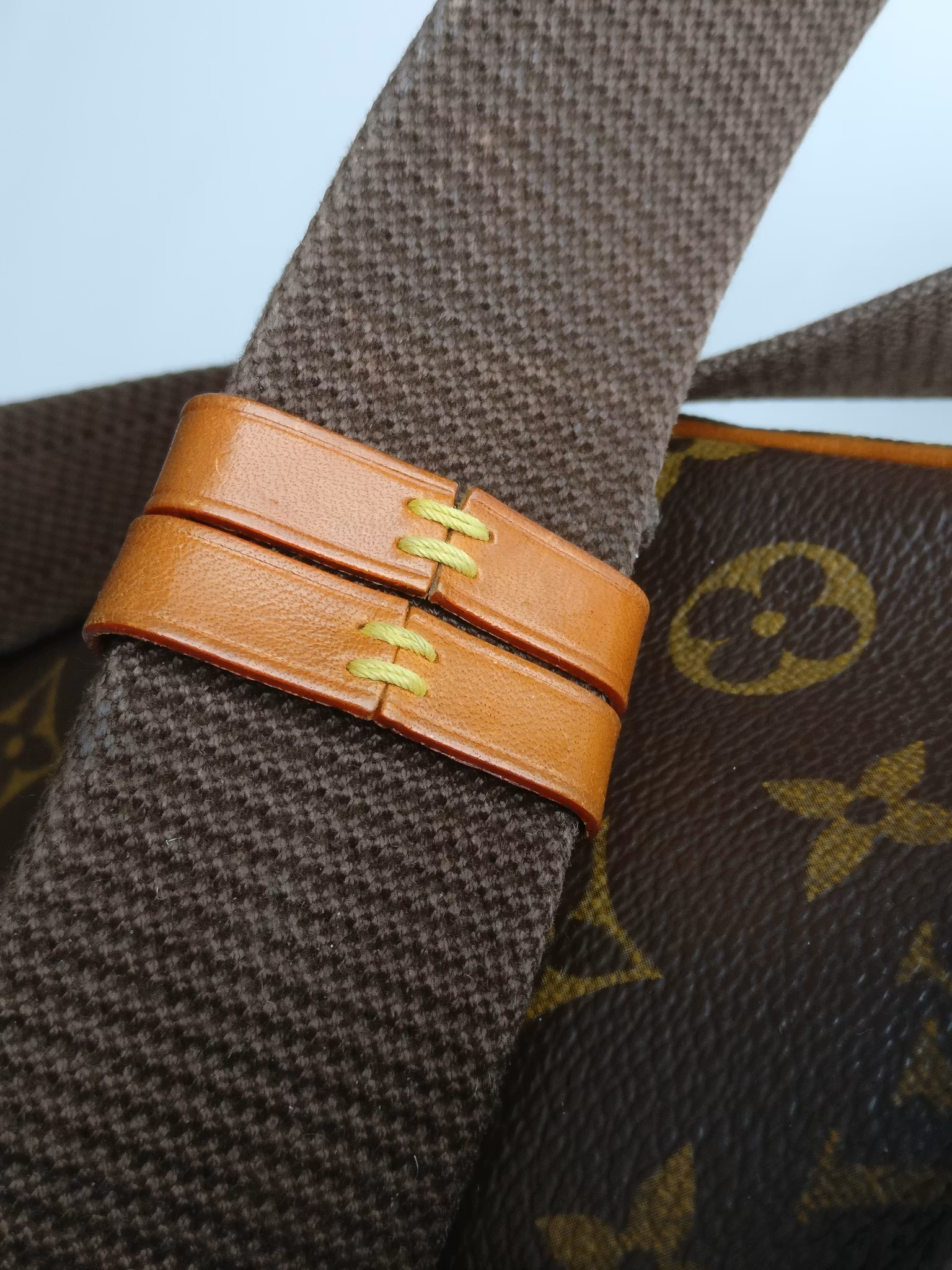 Louis Vuitton Pochette Gange bumbag/belt bag