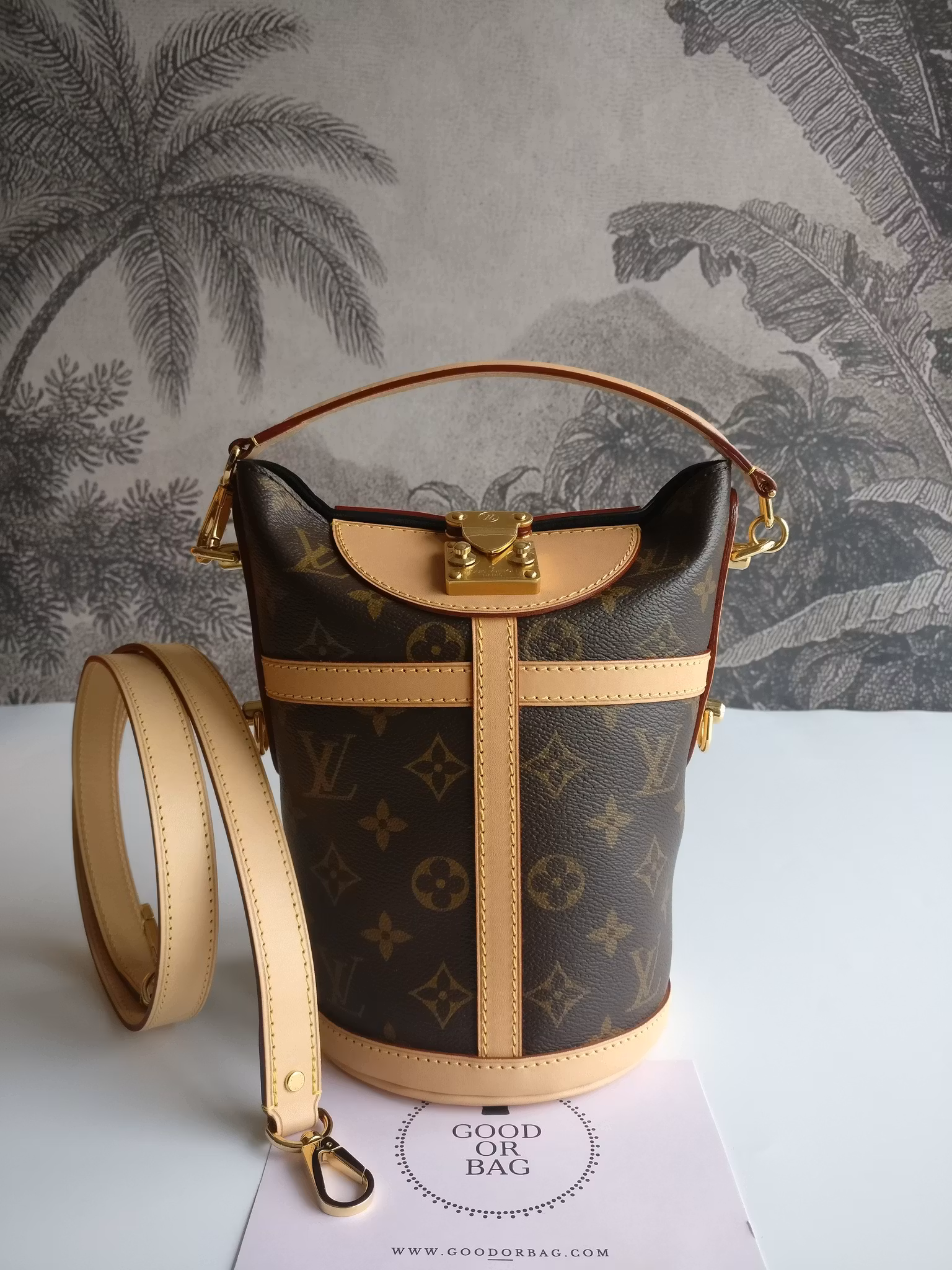 Louis Vuitton Duffle Bag