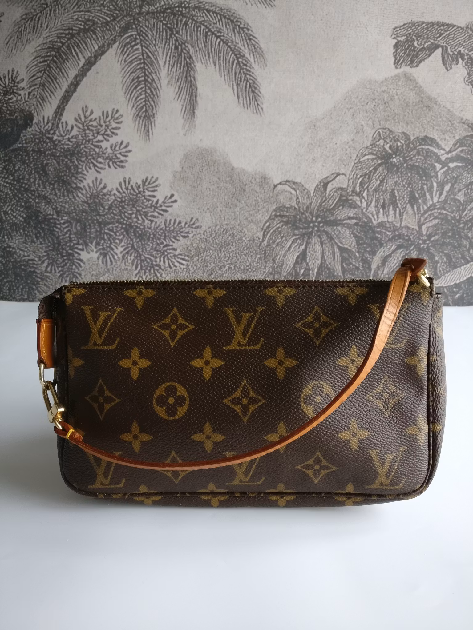Louis Vuitton Pochette Accessoires
