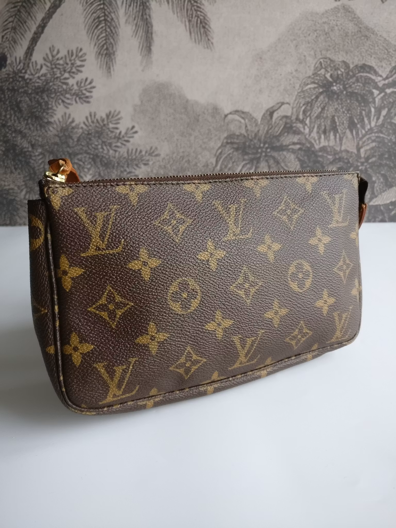 Louis Vuitton Pochette Accessoires