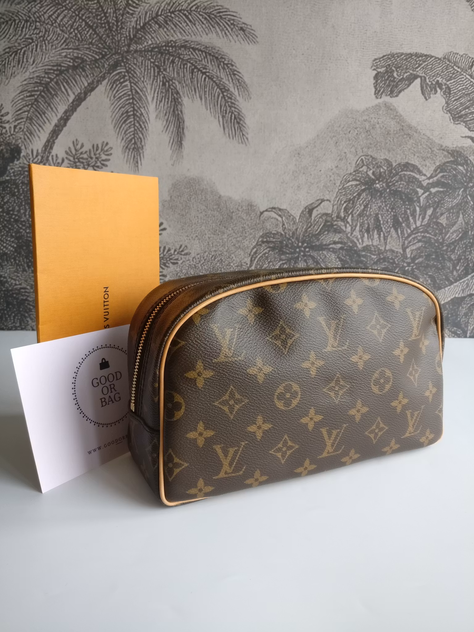 Louis Vuitton Toiletry Bag 25