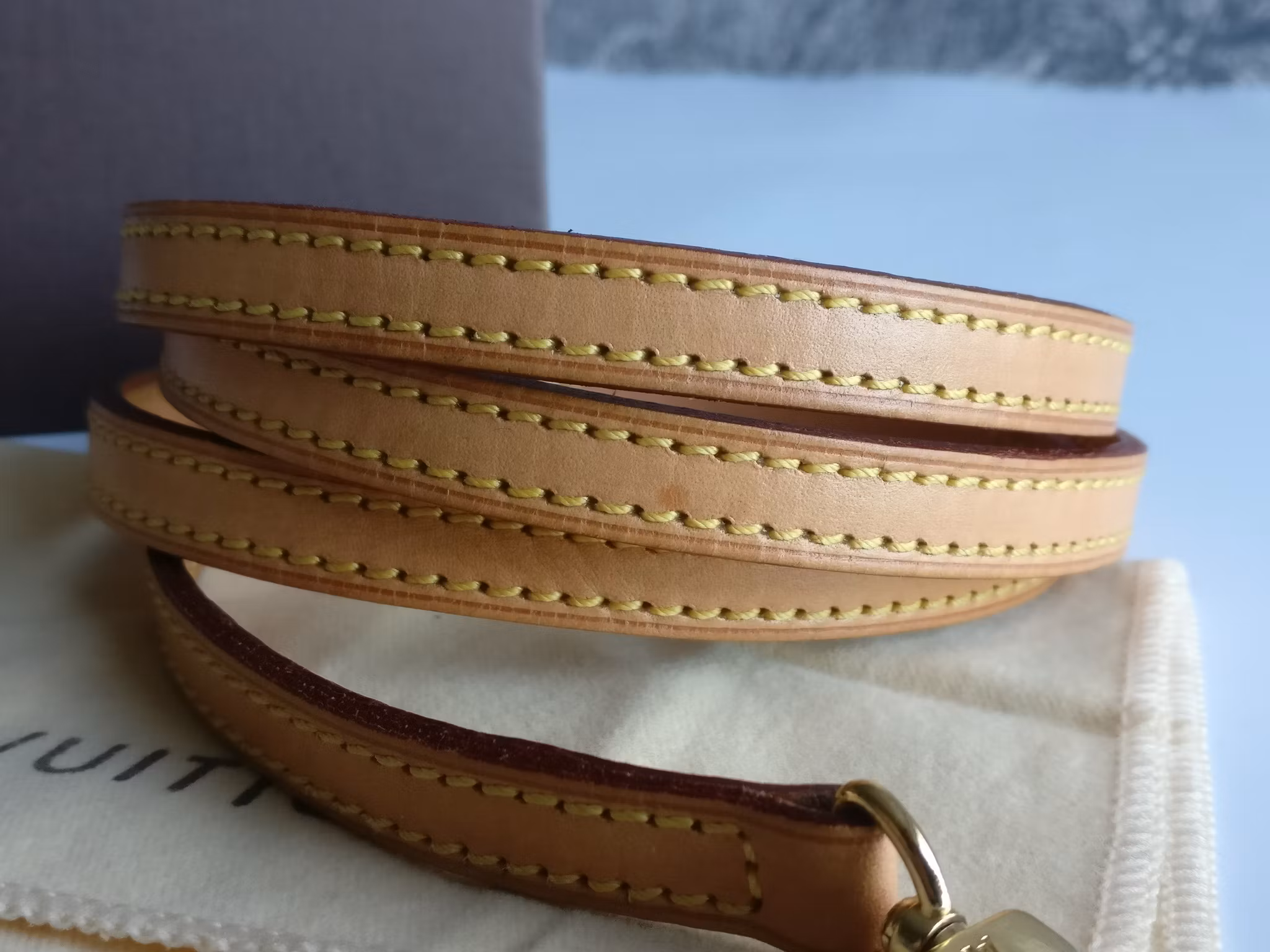 Louis Vuitton Shoulder Strap