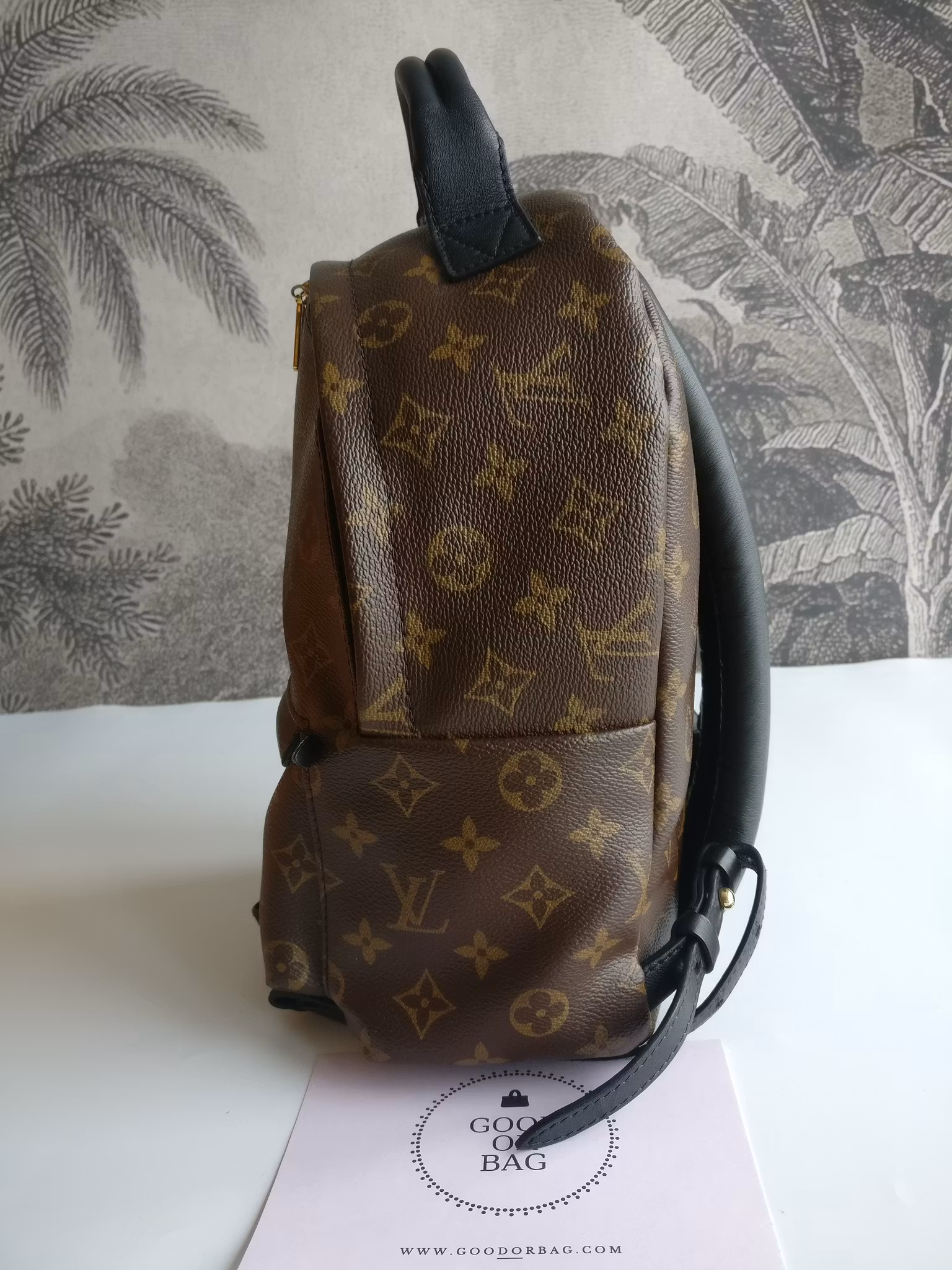 Louis Vuitton Palm Springs PM