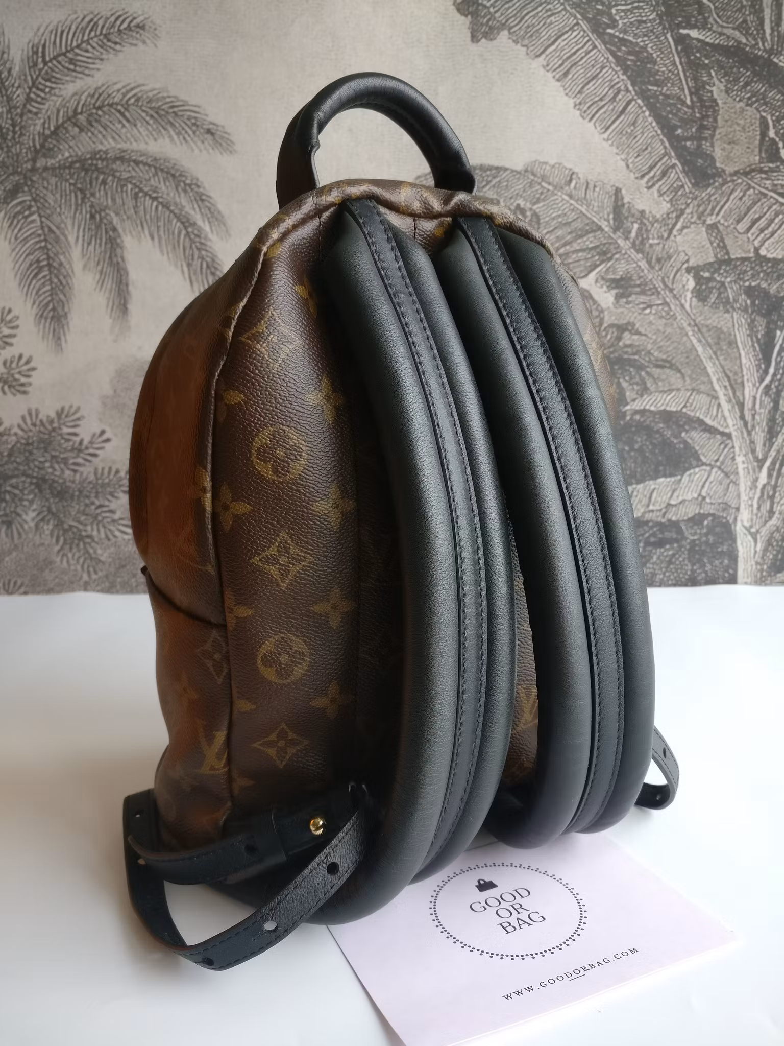 Louis Vuitton Palm Springs PM