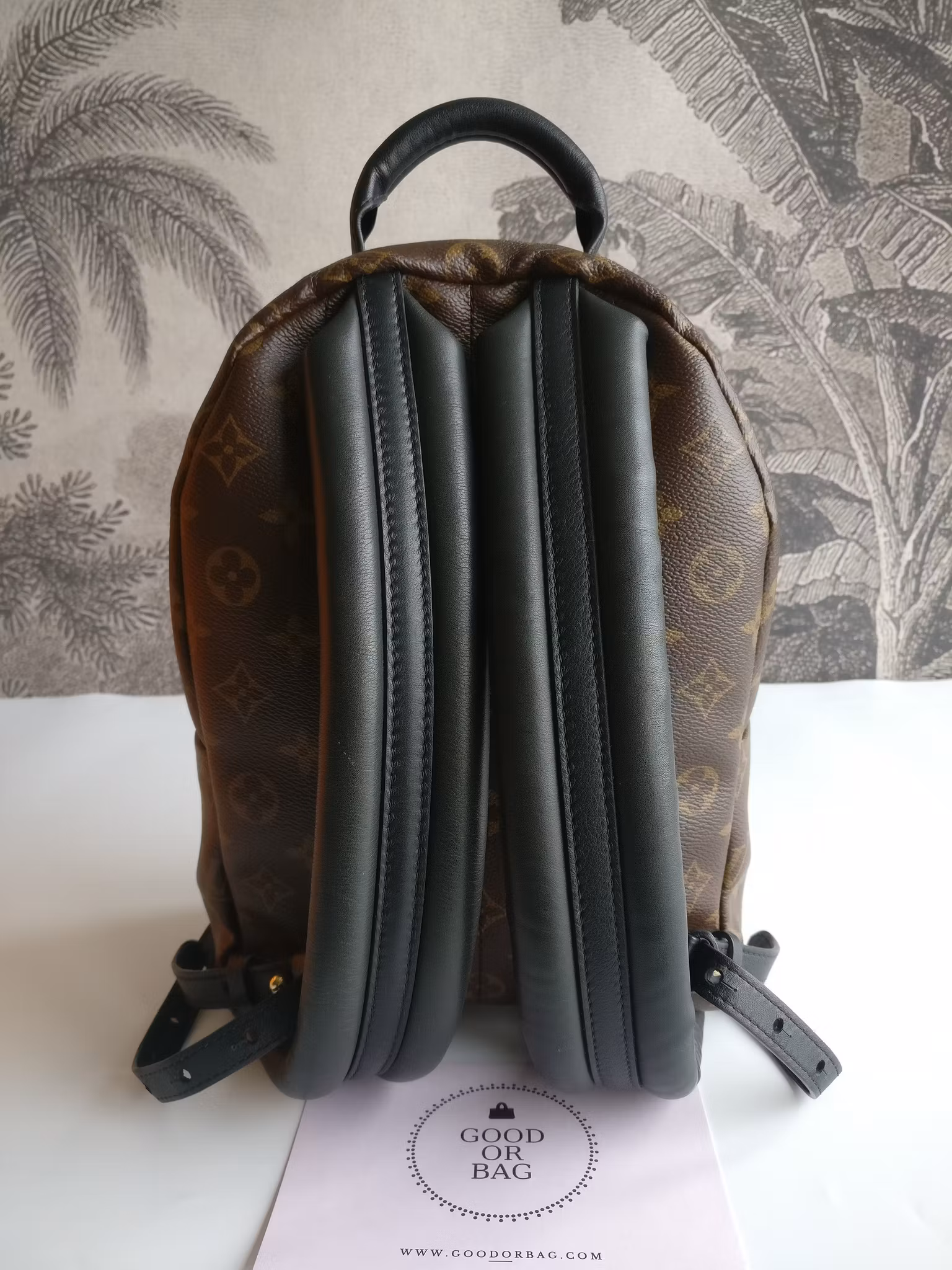 Louis Vuitton Palm Springs PM