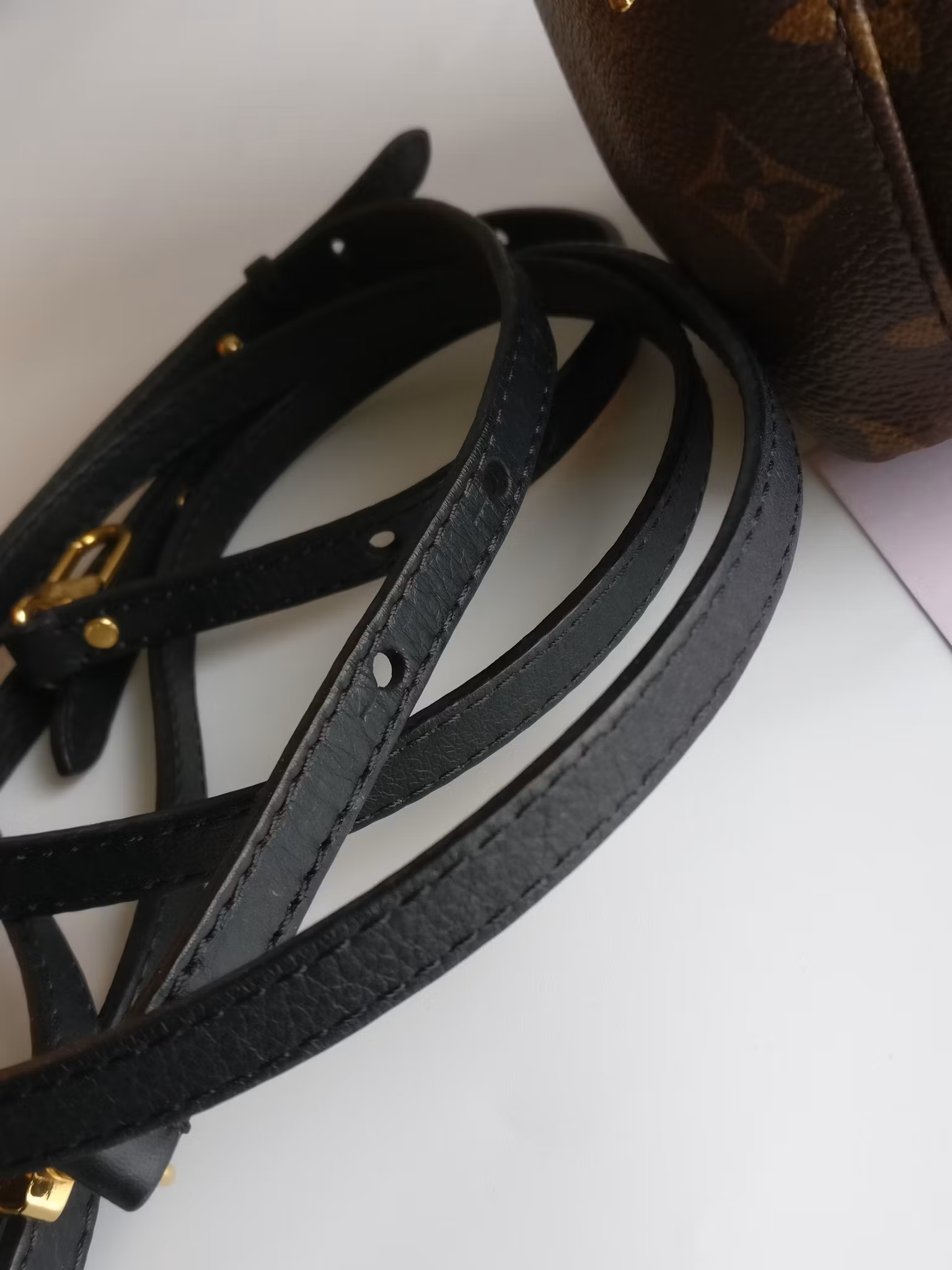 Louis Vuitton Palm Springs Mini
