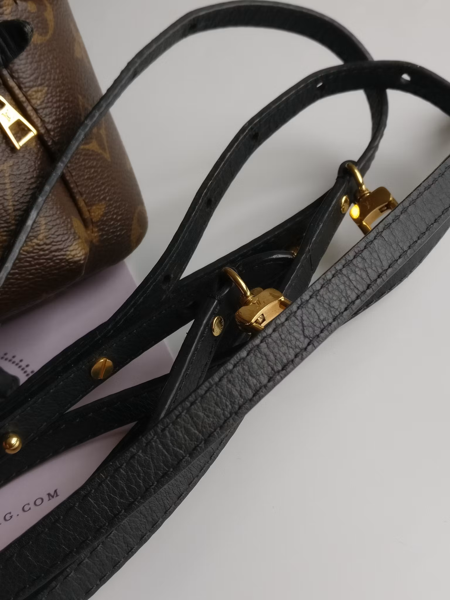 Louis Vuitton Palm Springs Mini