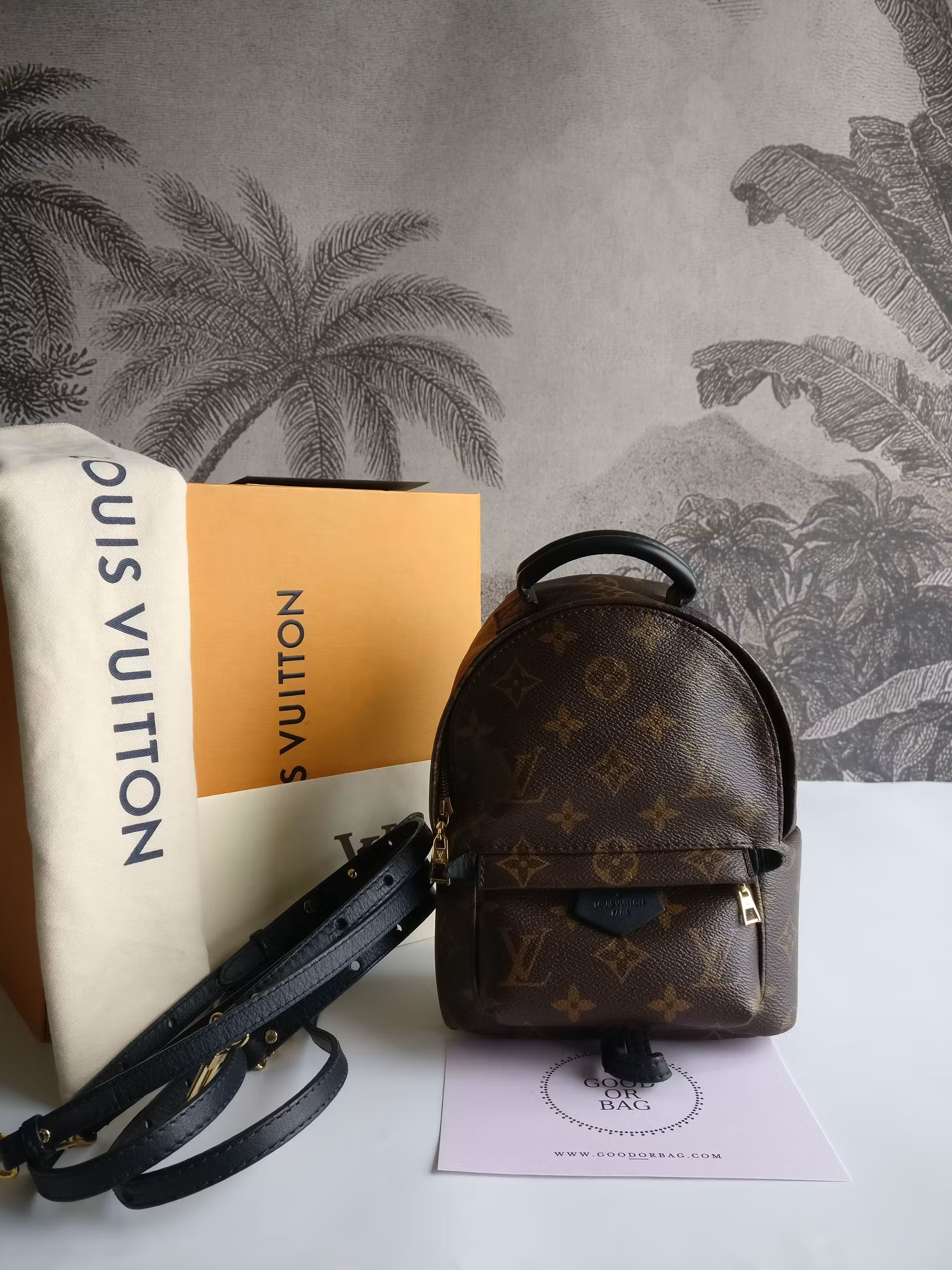 Louis Vuitton Palm Springs Mini