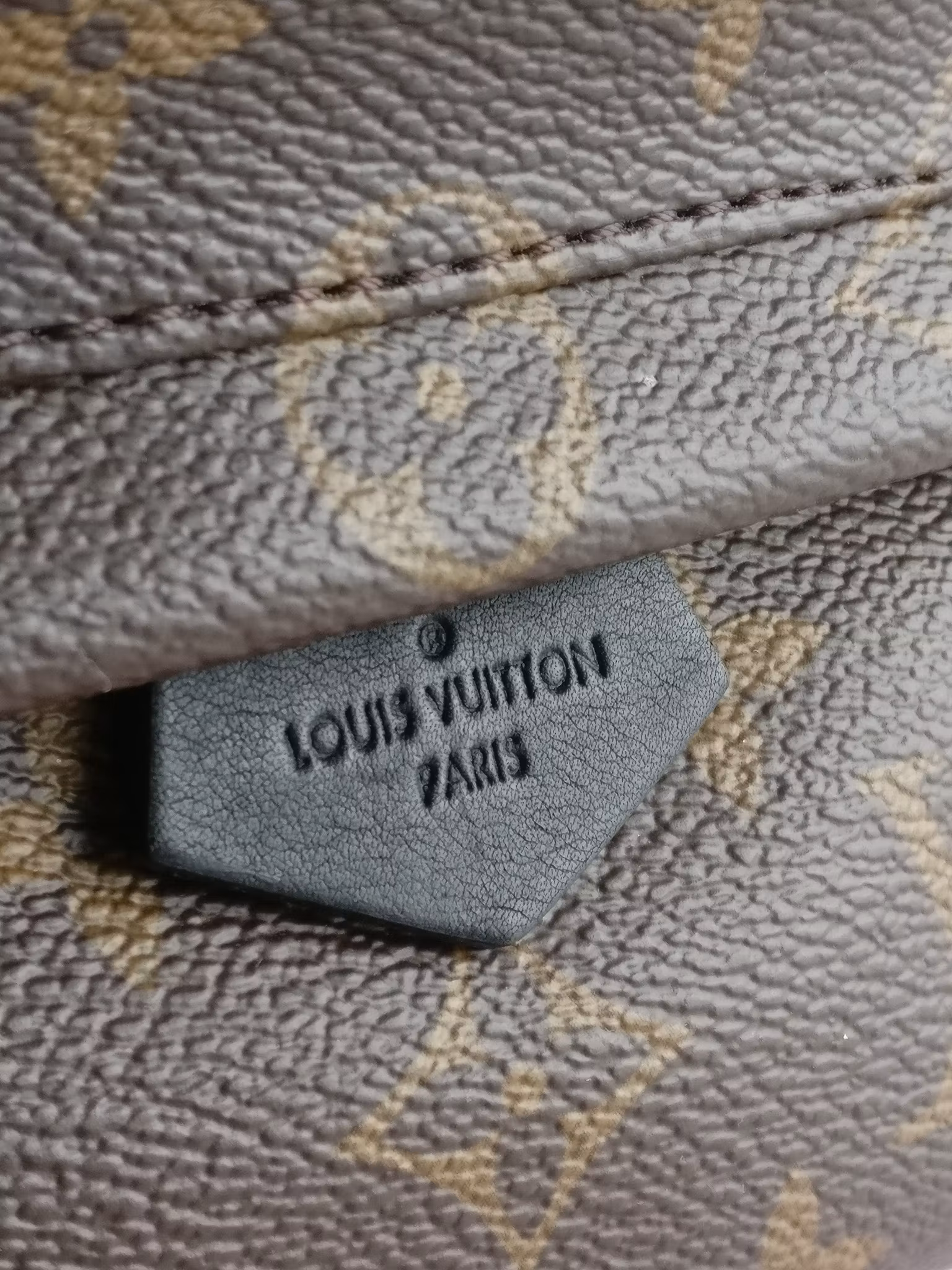 Louis Vuitton Palm Springs Mini