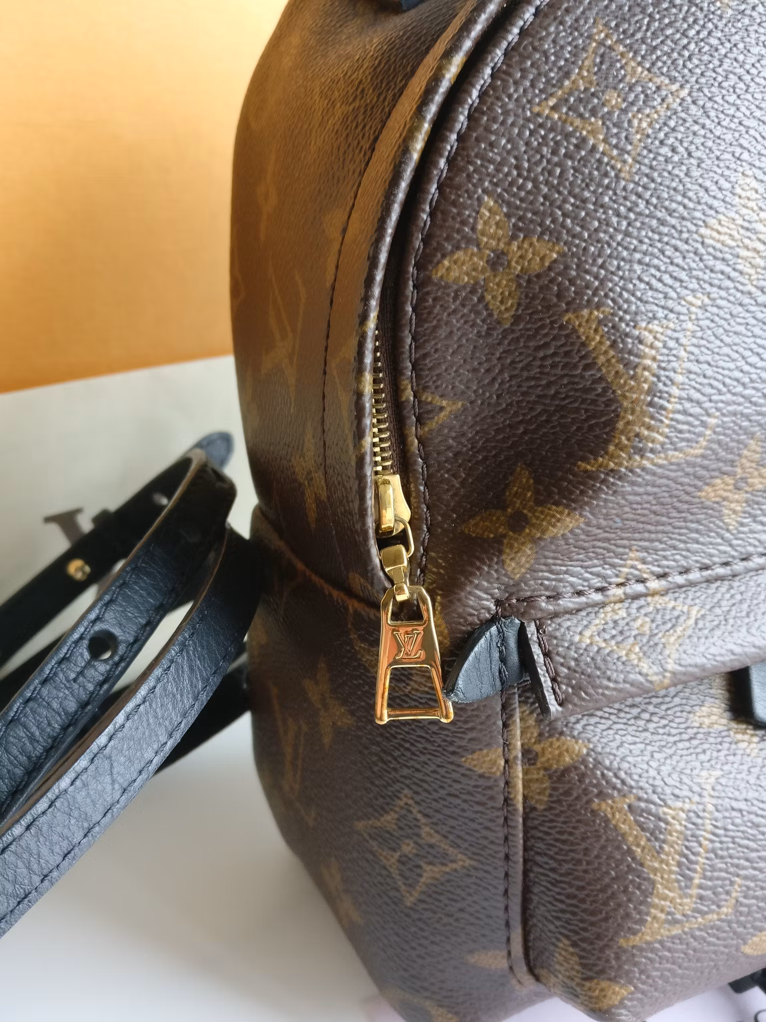 Louis Vuitton Palm Springs Mini