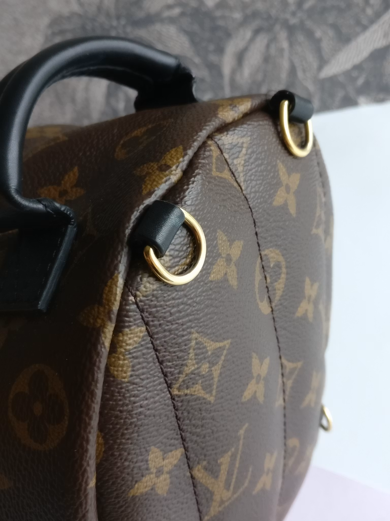 Louis Vuitton Palm Springs Mini