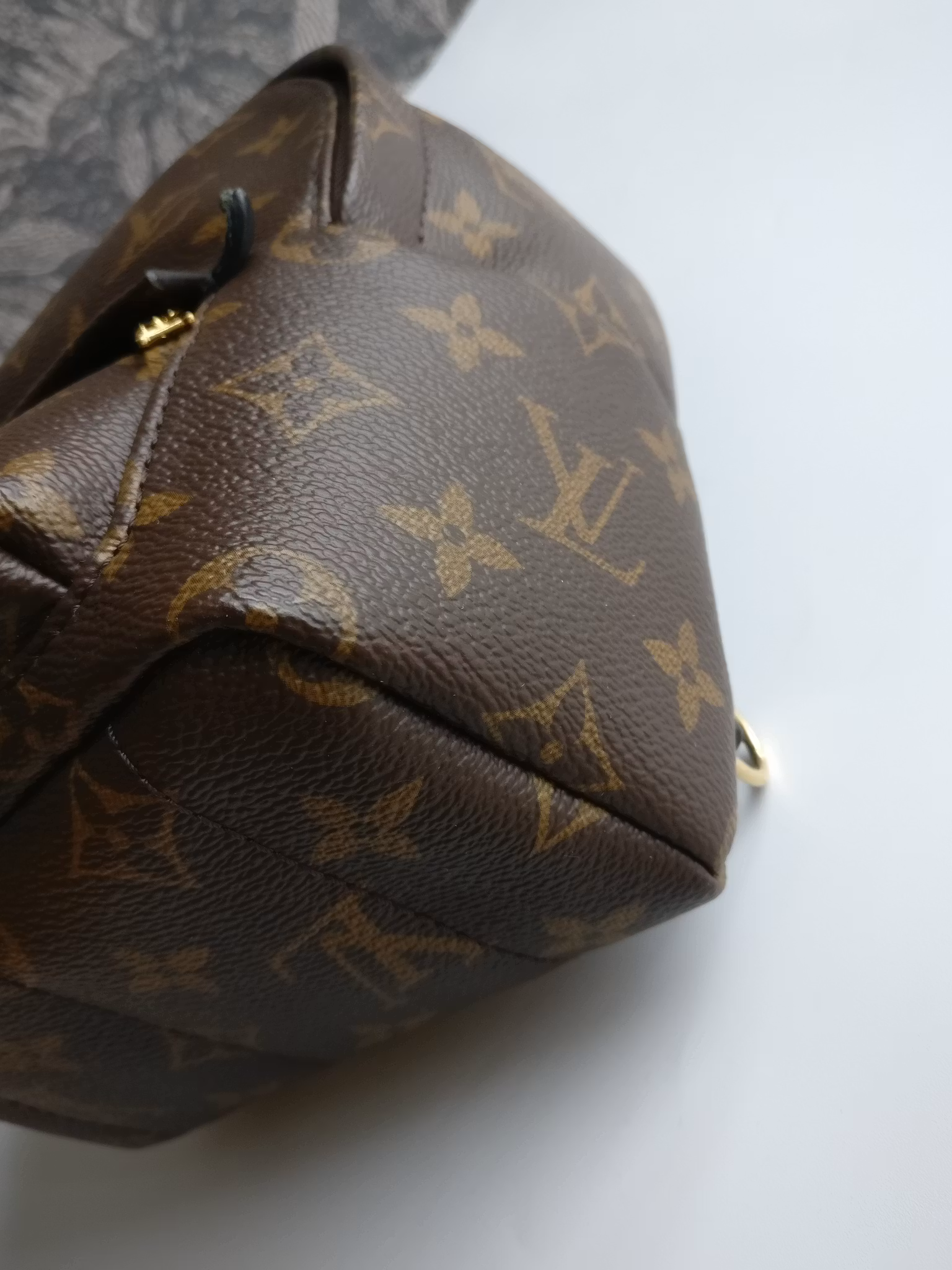 Louis Vuitton Palm Springs Mini