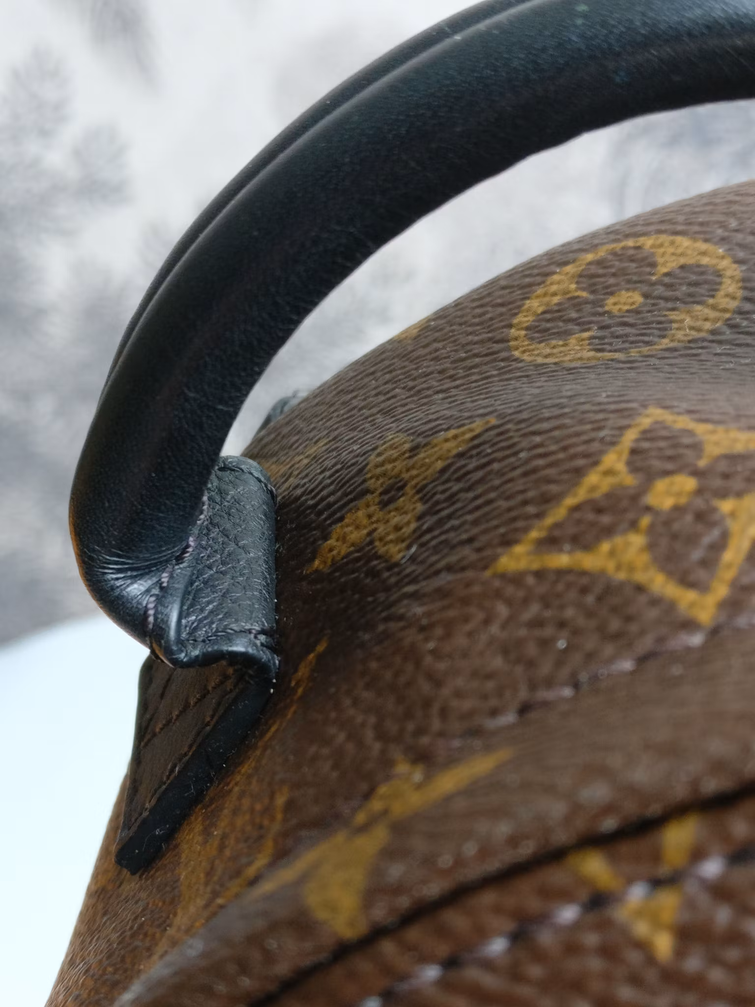 Louis Vuitton Palm Springs Mini