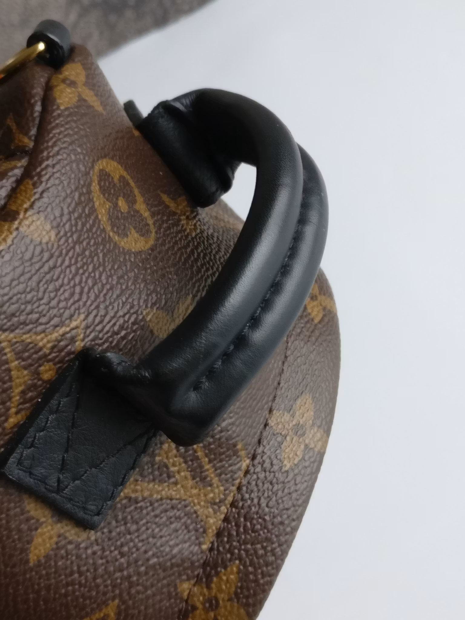 Louis Vuitton Palm Springs Mini