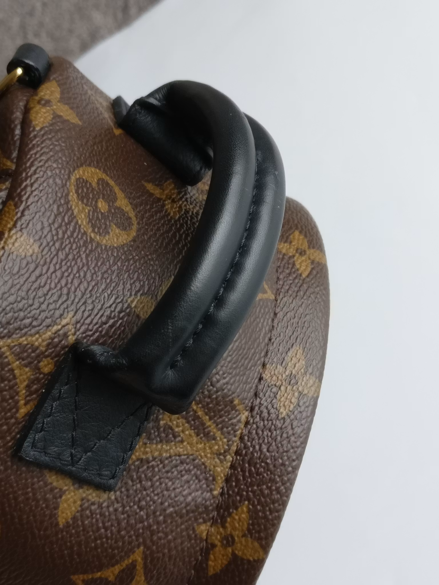 Louis Vuitton Palm Springs Mini
