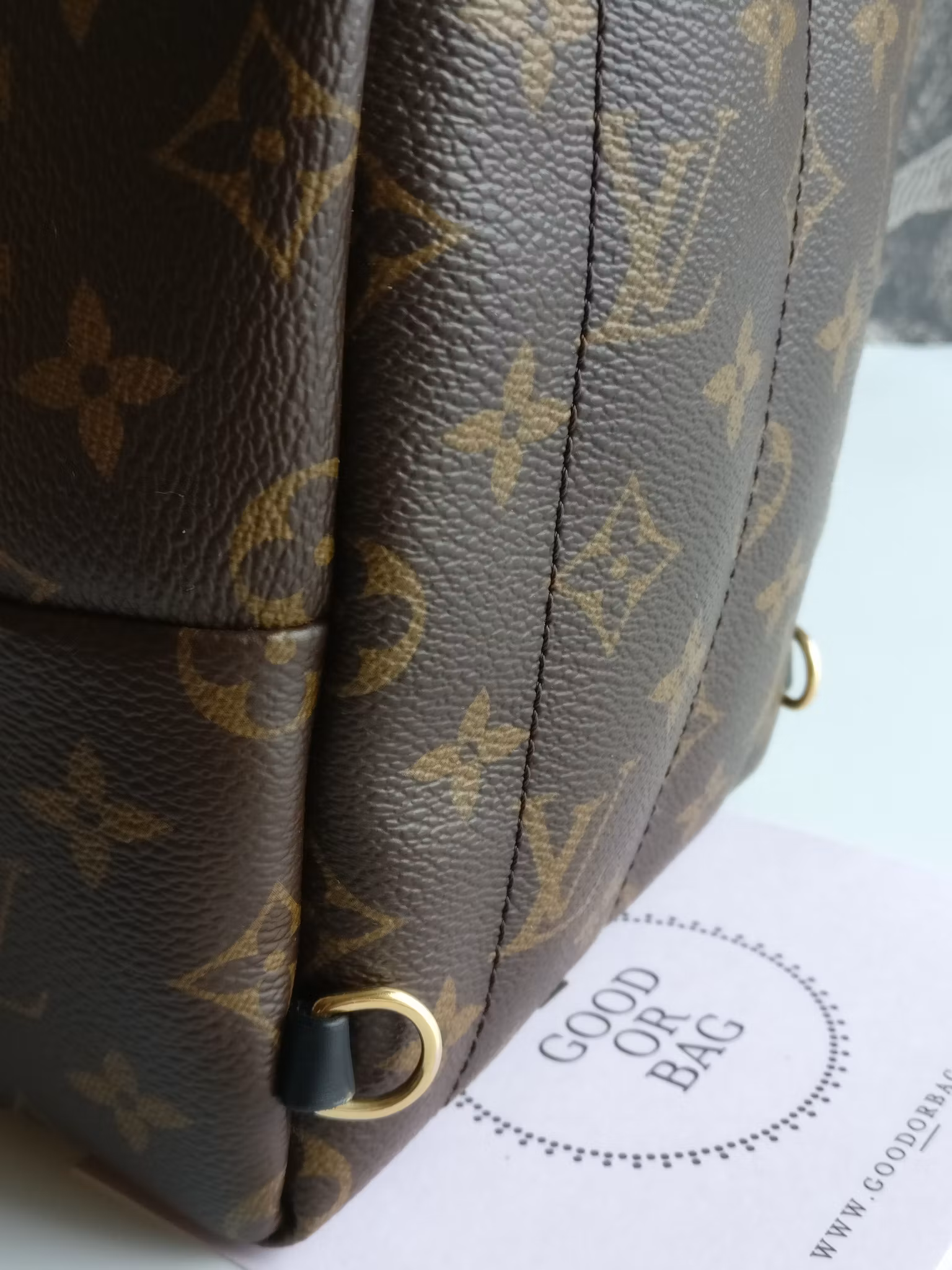 Louis Vuitton Palm Springs Mini