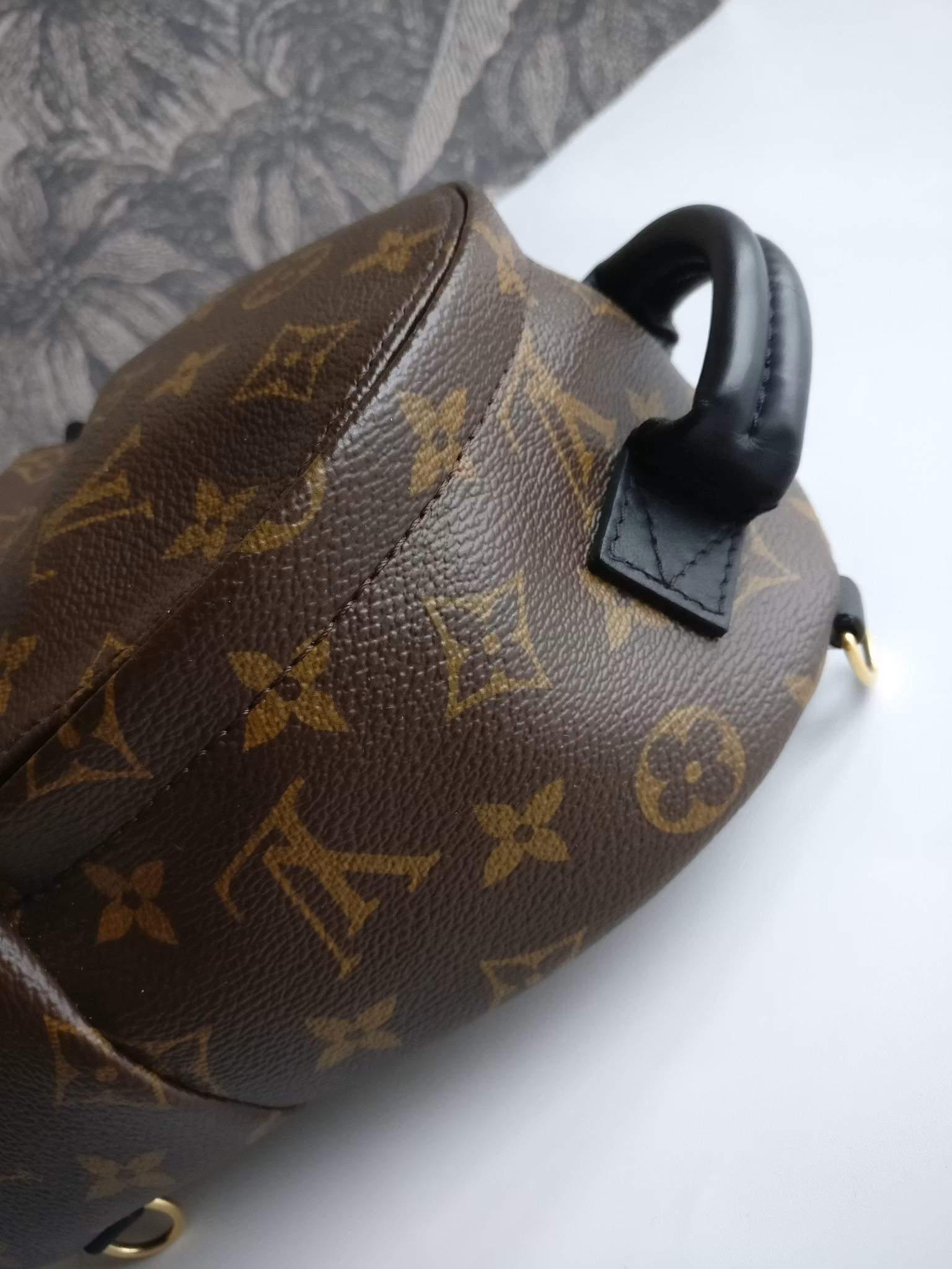 Louis Vuitton Palm Springs Mini
