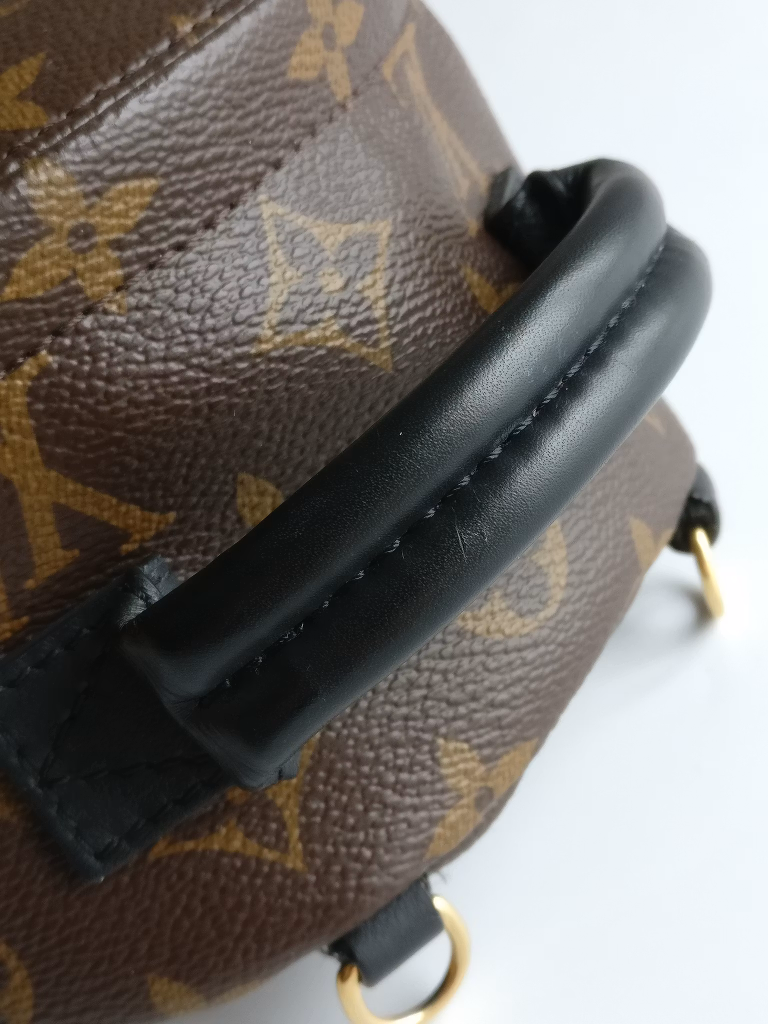 Louis Vuitton Palm Springs Mini