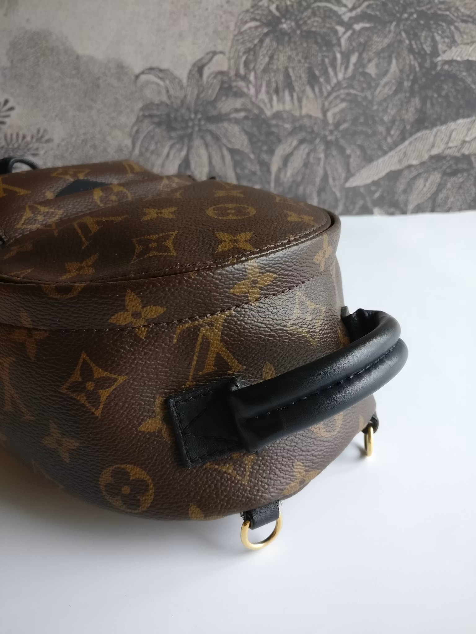 Louis Vuitton Palm Springs Mini