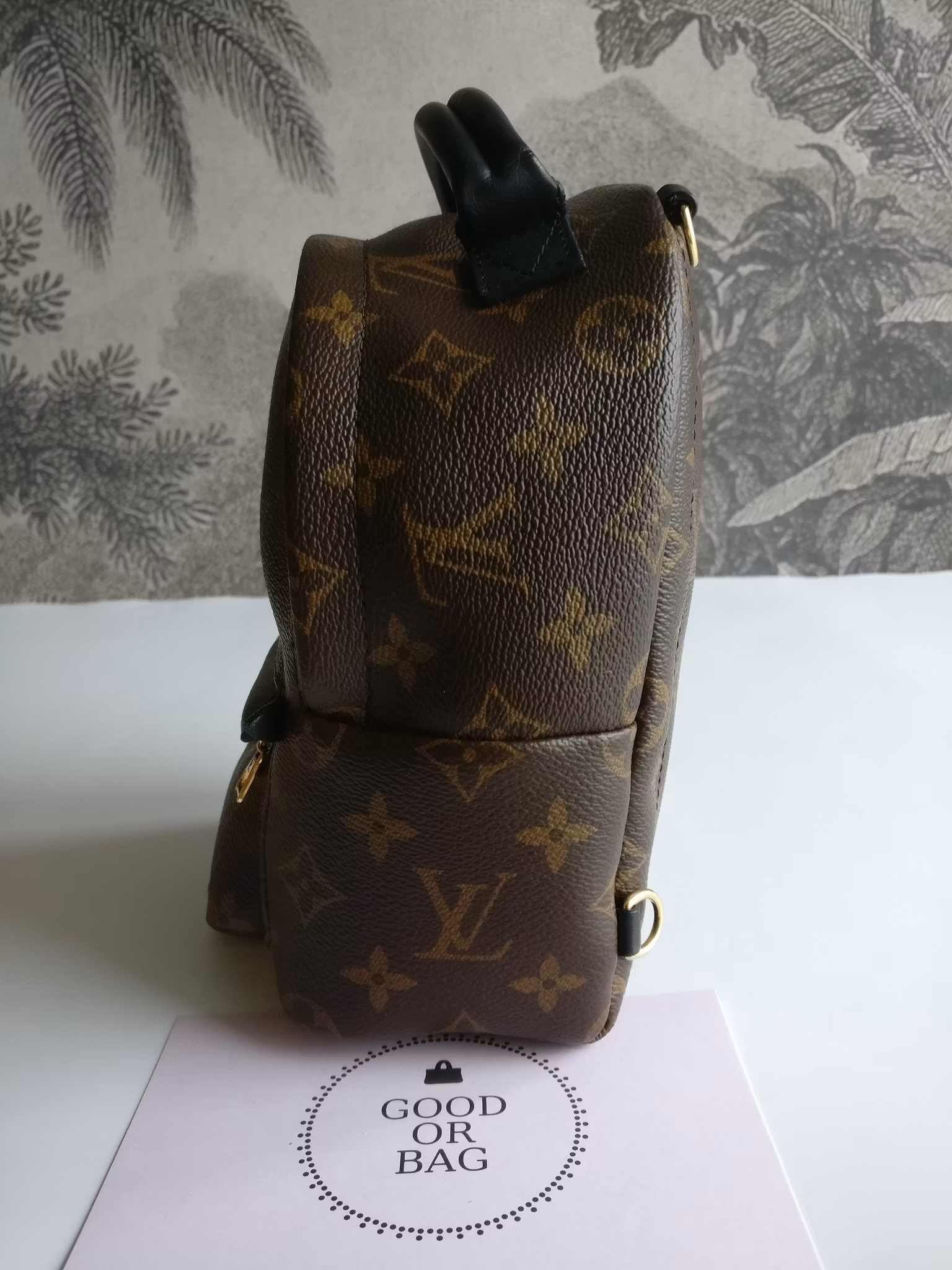 Louis Vuitton Palm Springs Mini