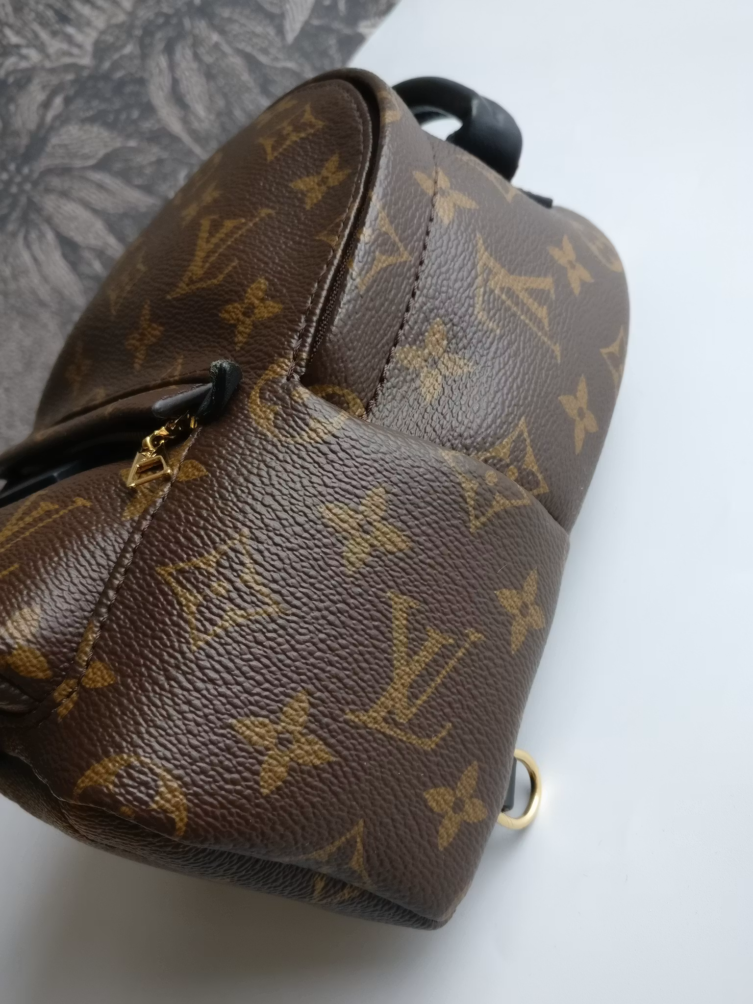 Louis Vuitton Palm Springs Mini