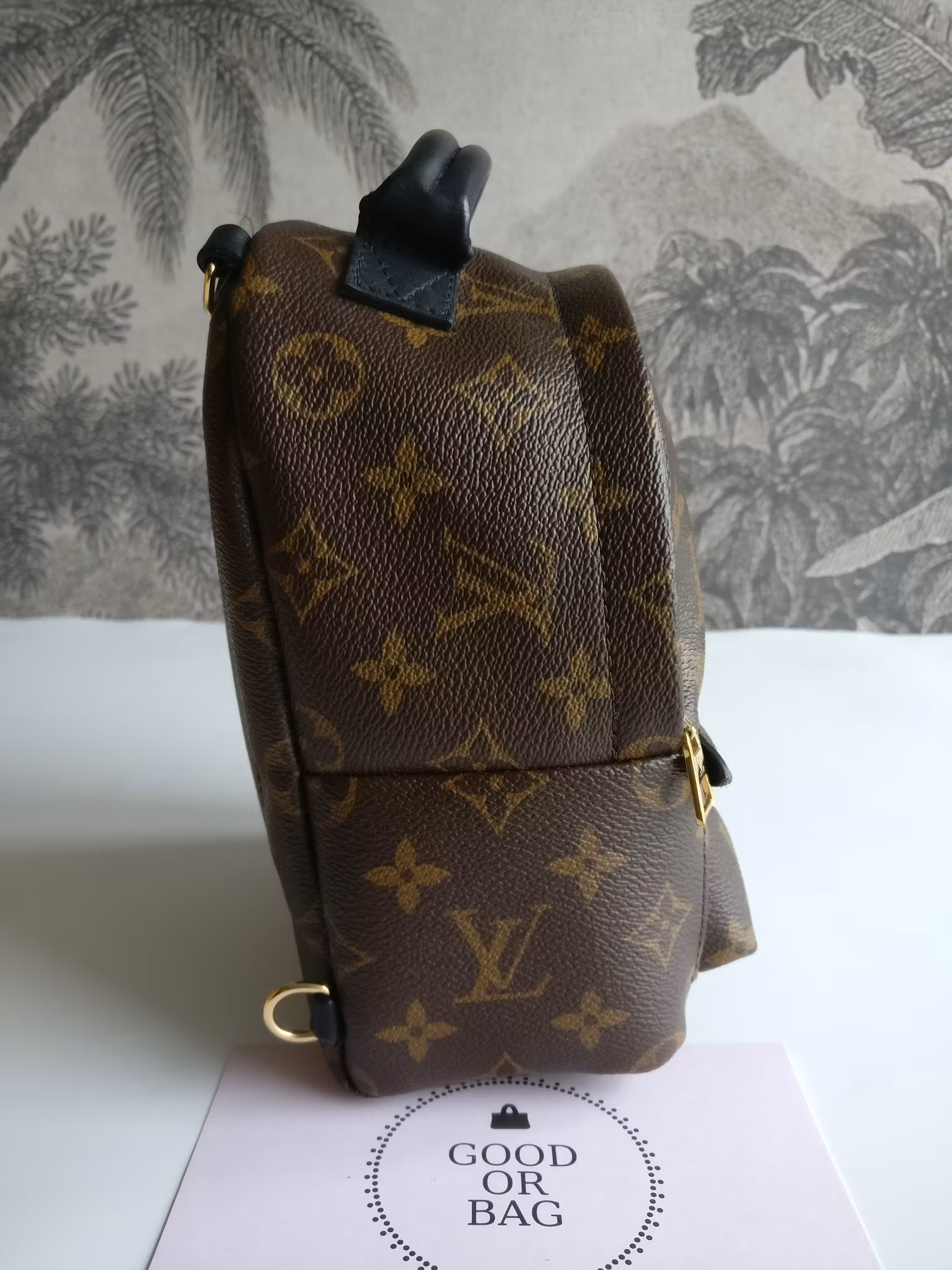 Louis Vuitton Palm Springs Mini