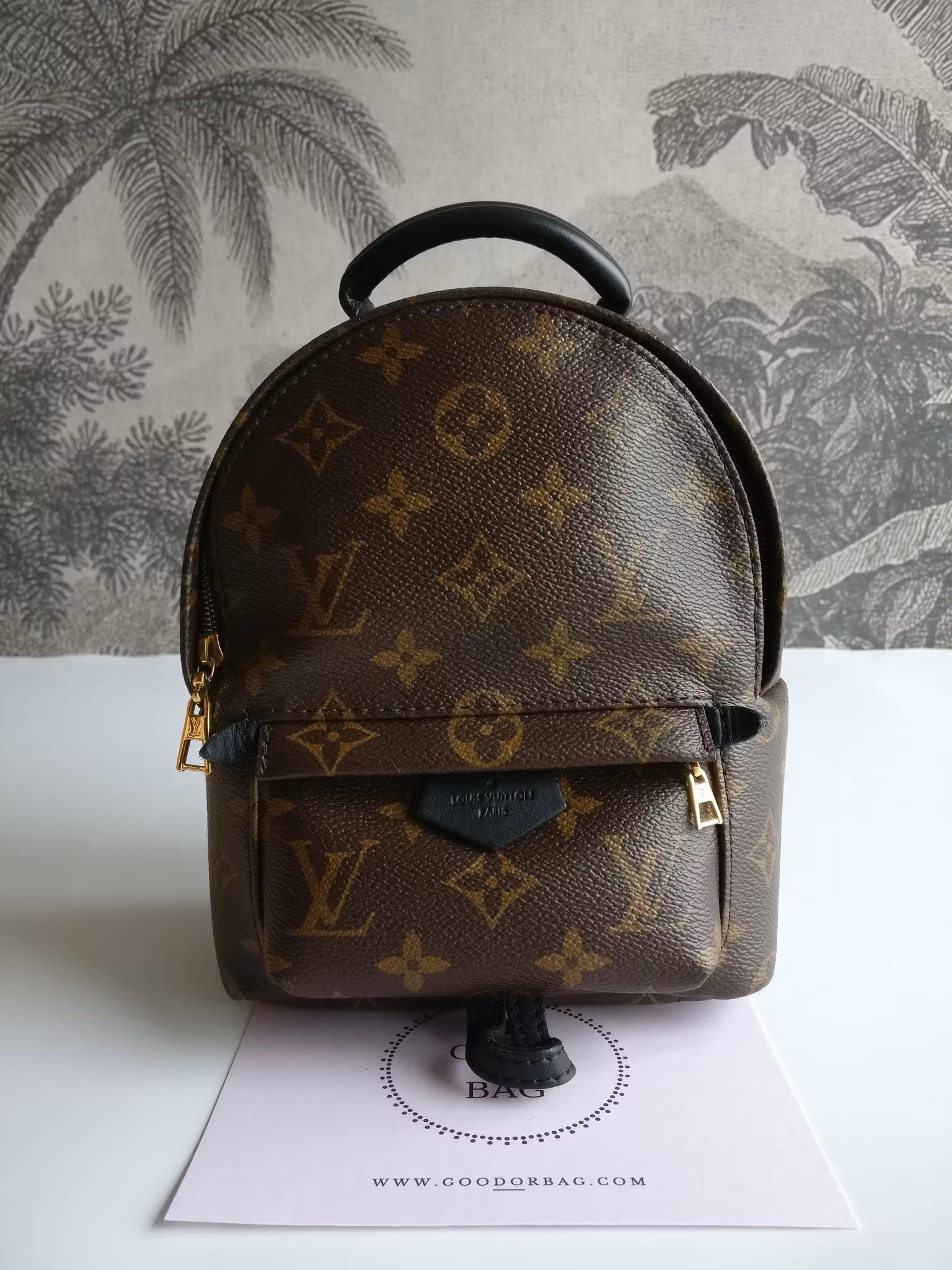Louis Vuitton Palm Springs Mini