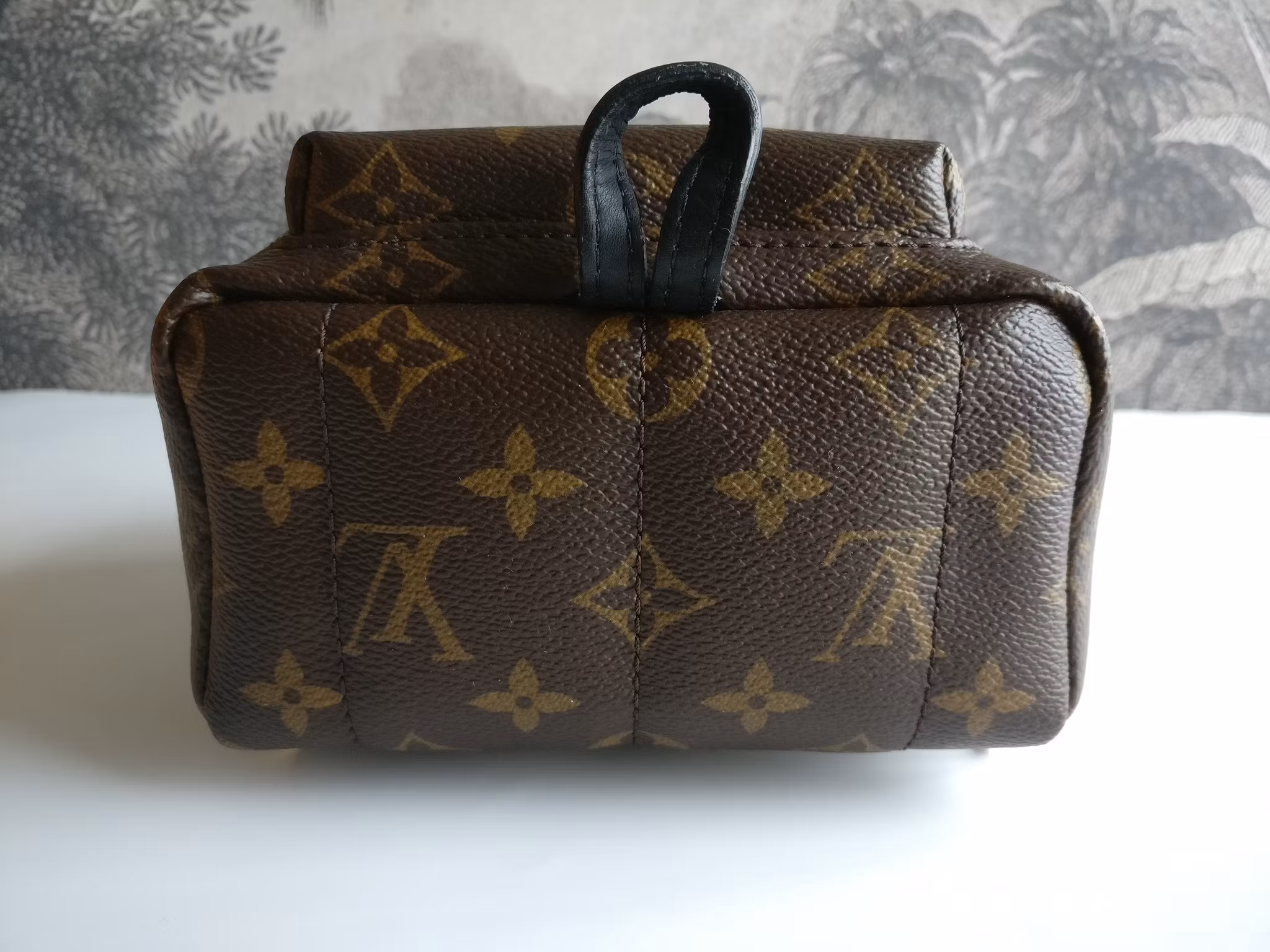 Louis Vuitton Palm Springs Mini