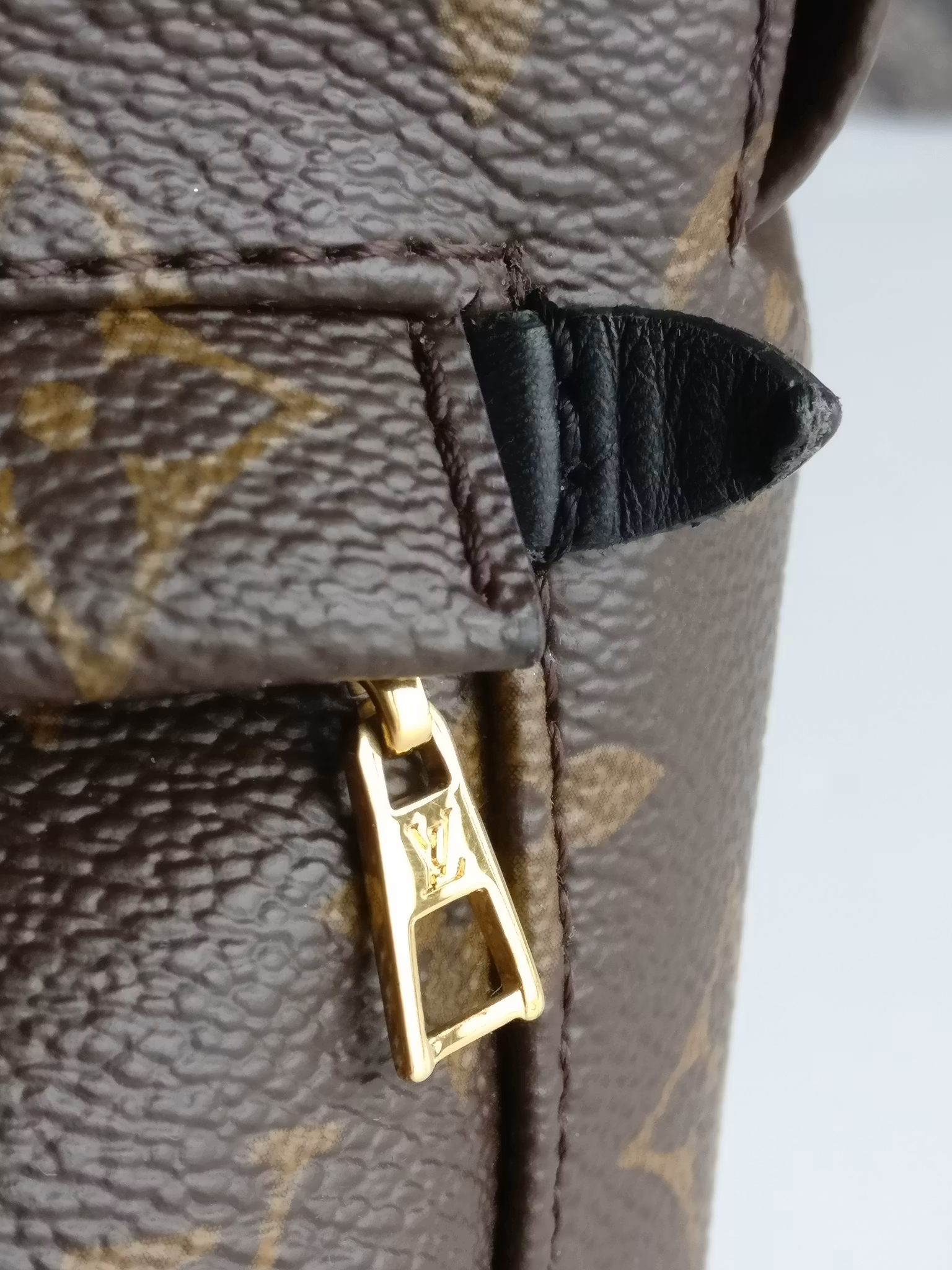 Louis Vuitton Palm Springs Mini