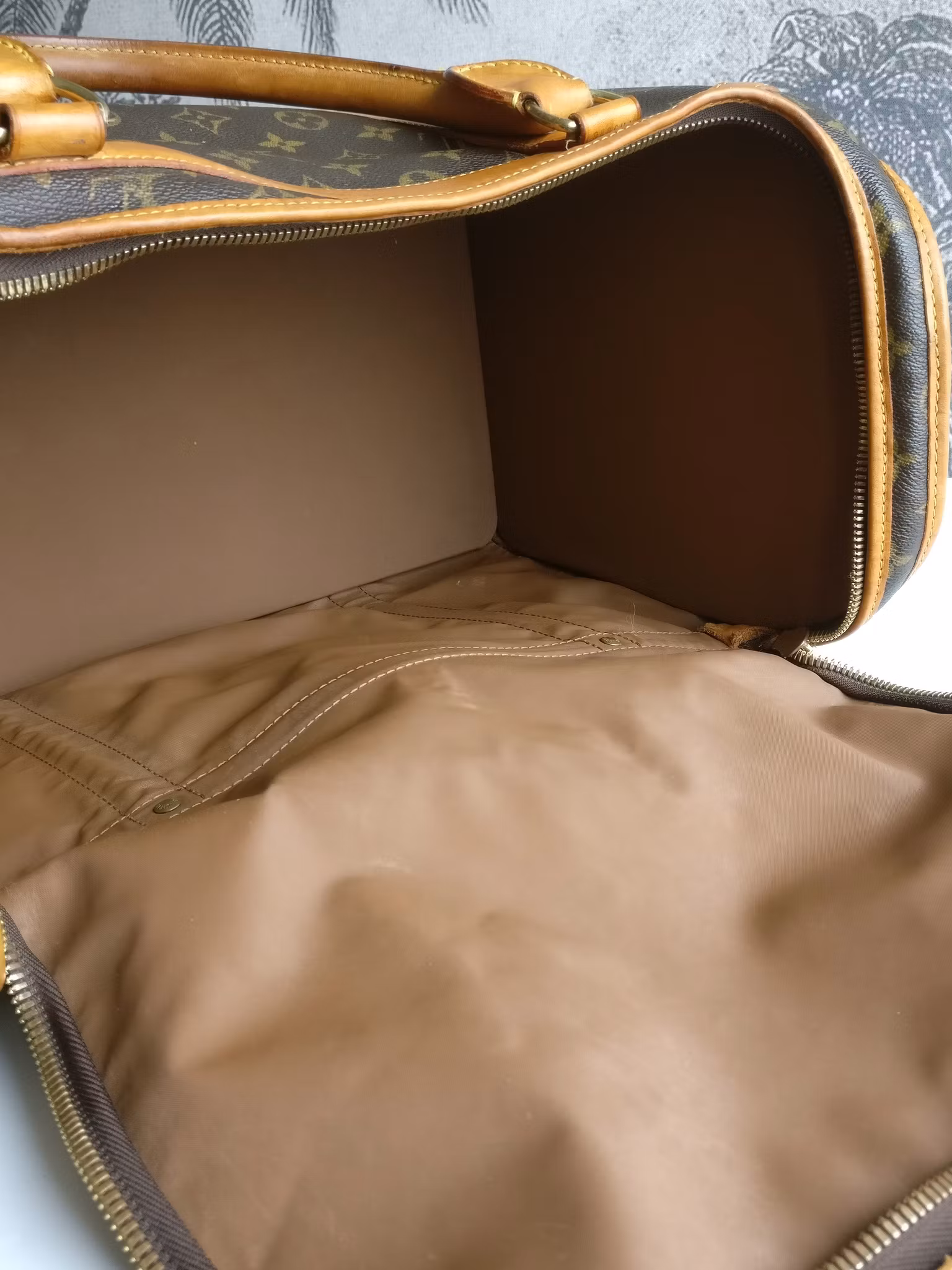 Louis Vuitton Dog Carrier 40 Sac Chien