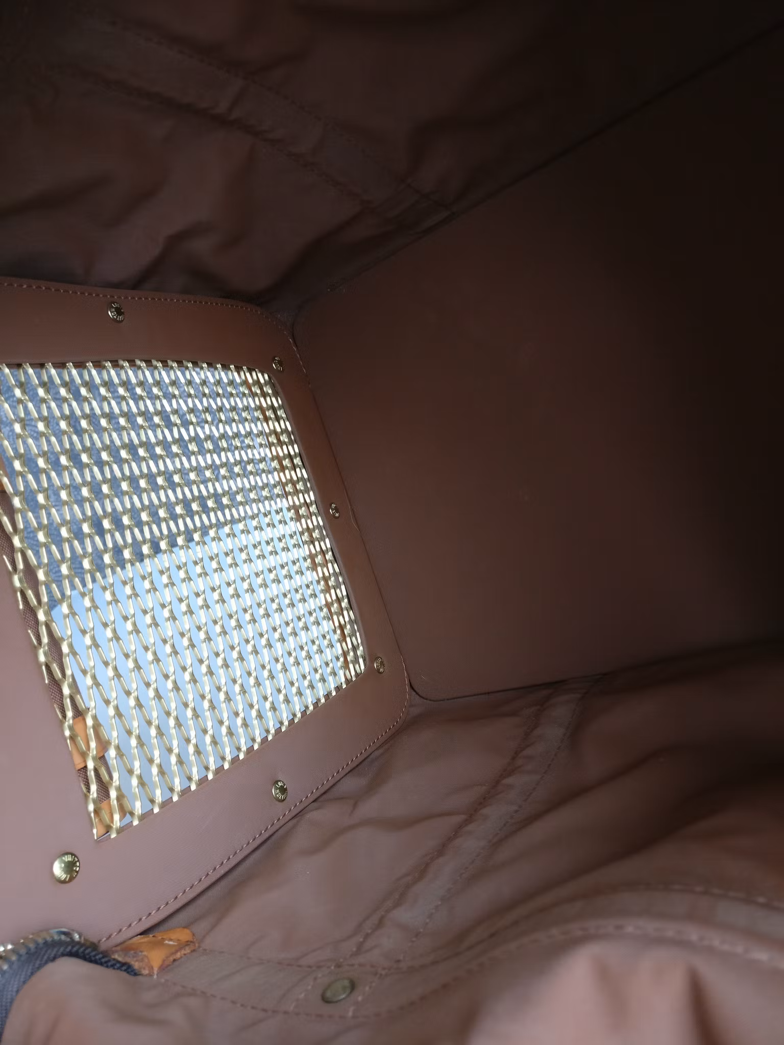 Louis Vuitton Dog Carrier 40 Sac Chien