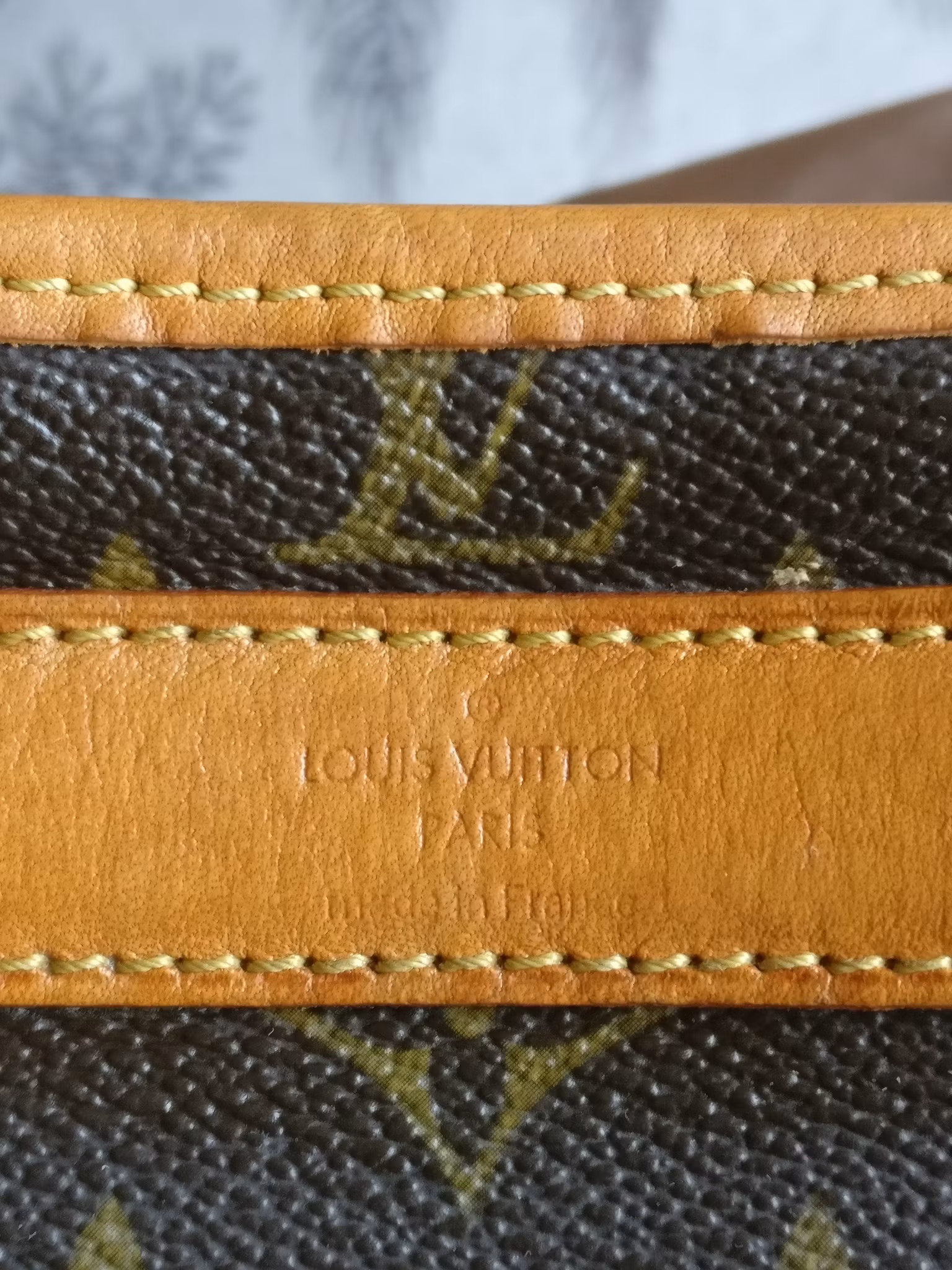 Louis Vuitton Dog Carrier 40 Sac Chien