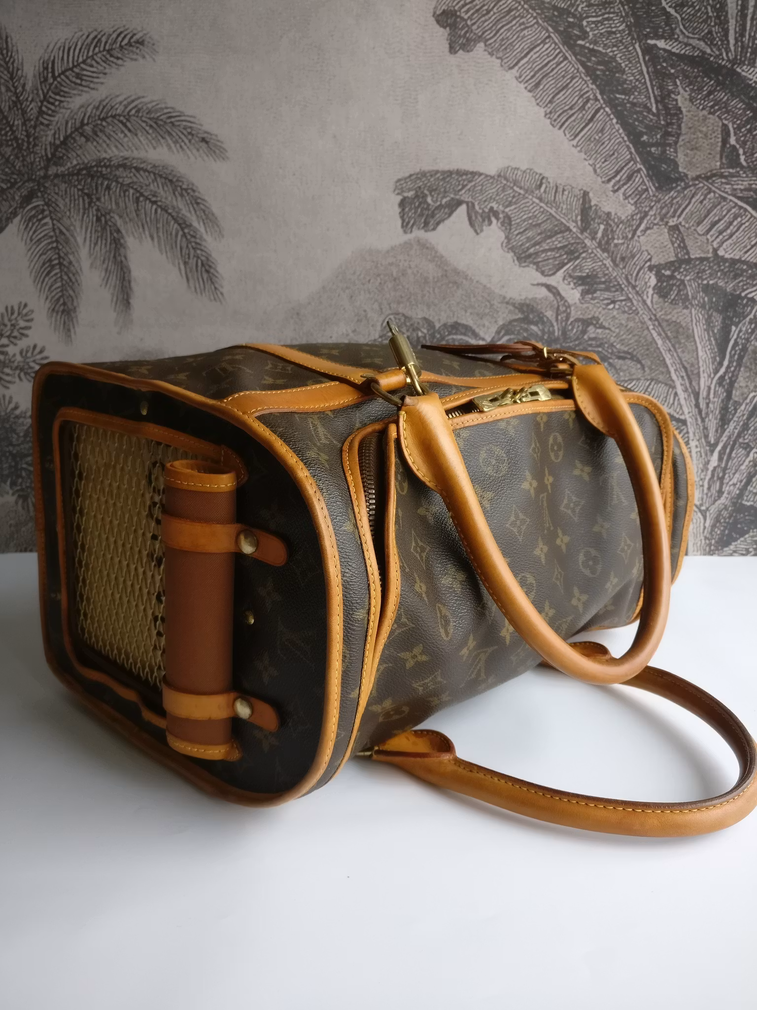 Louis Vuitton Dog Carrier 40 Sac Chien