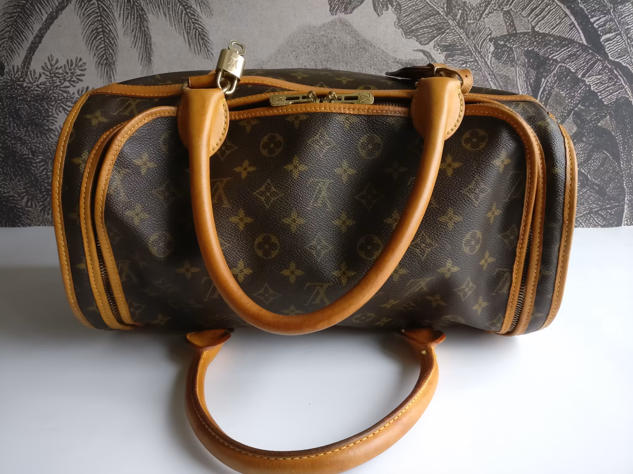 Louis Vuitton Dog Carrier 40 Sac Chien