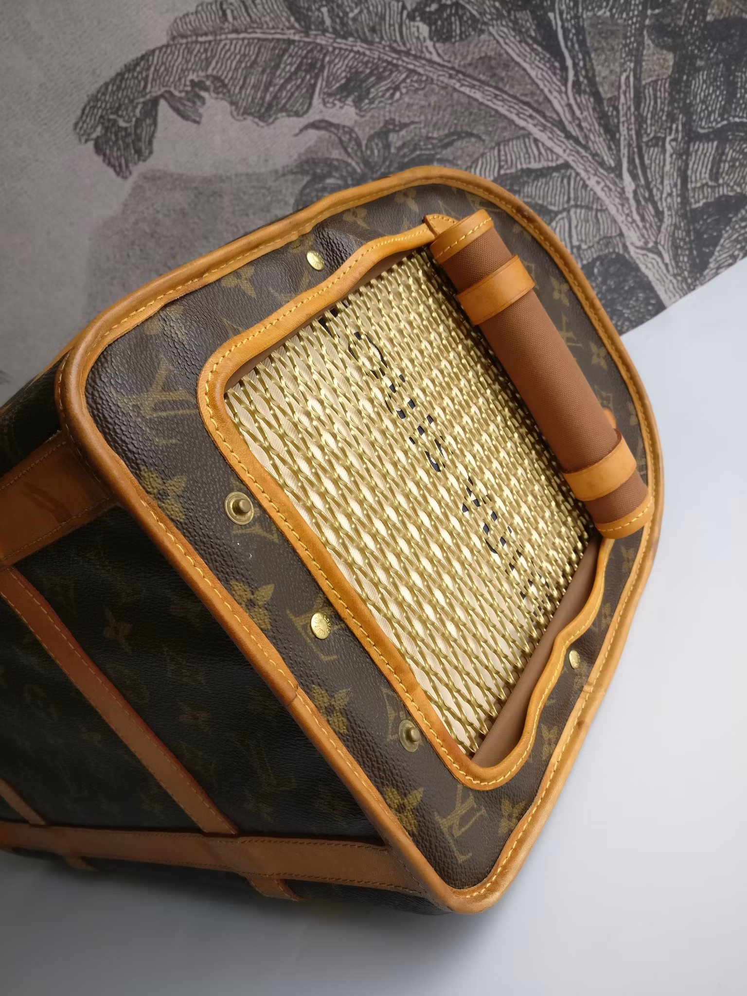 Louis Vuitton Dog Carrier 40 Sac Chien