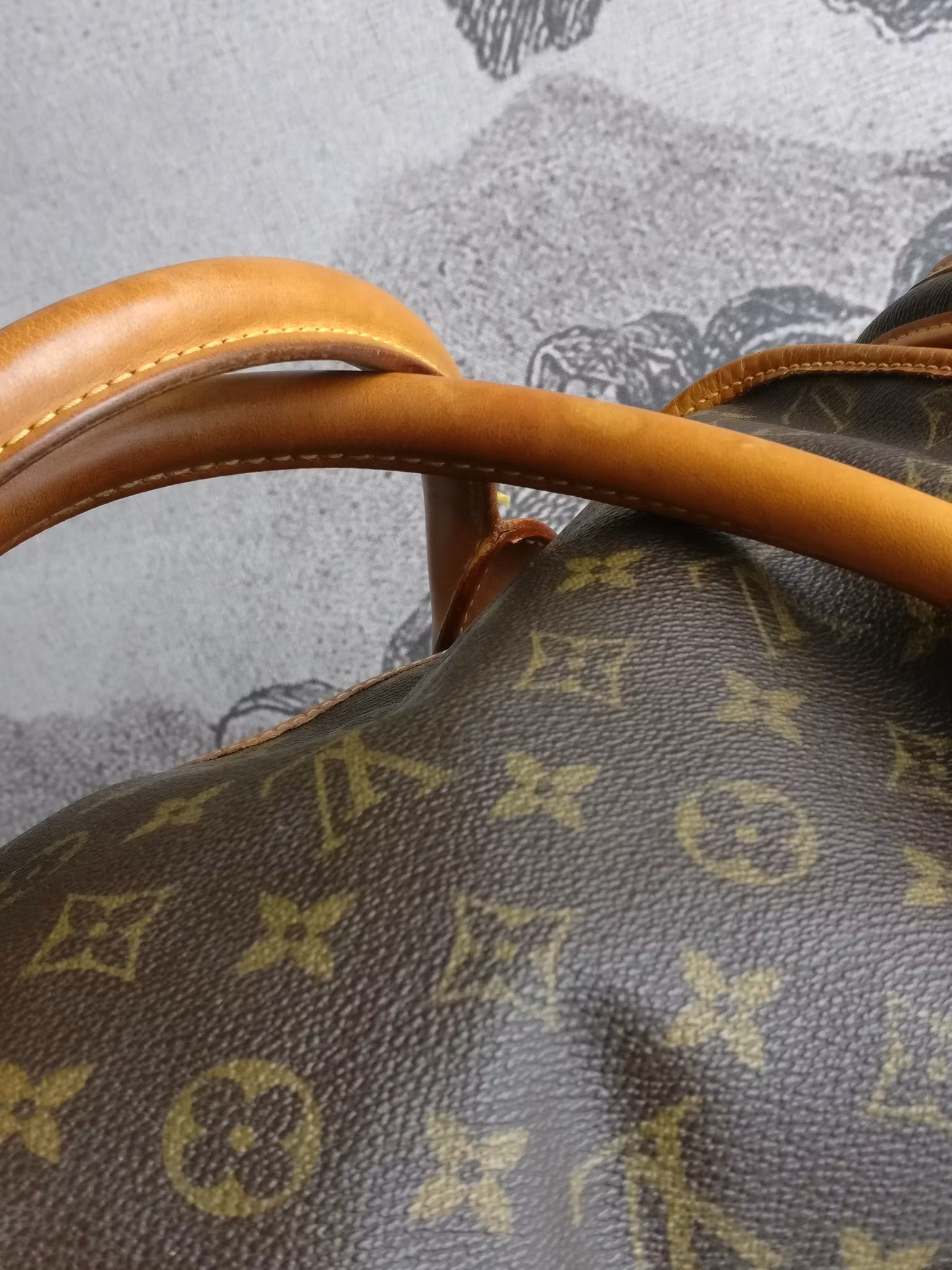 Louis Vuitton Dog Carrier 40 Sac Chien