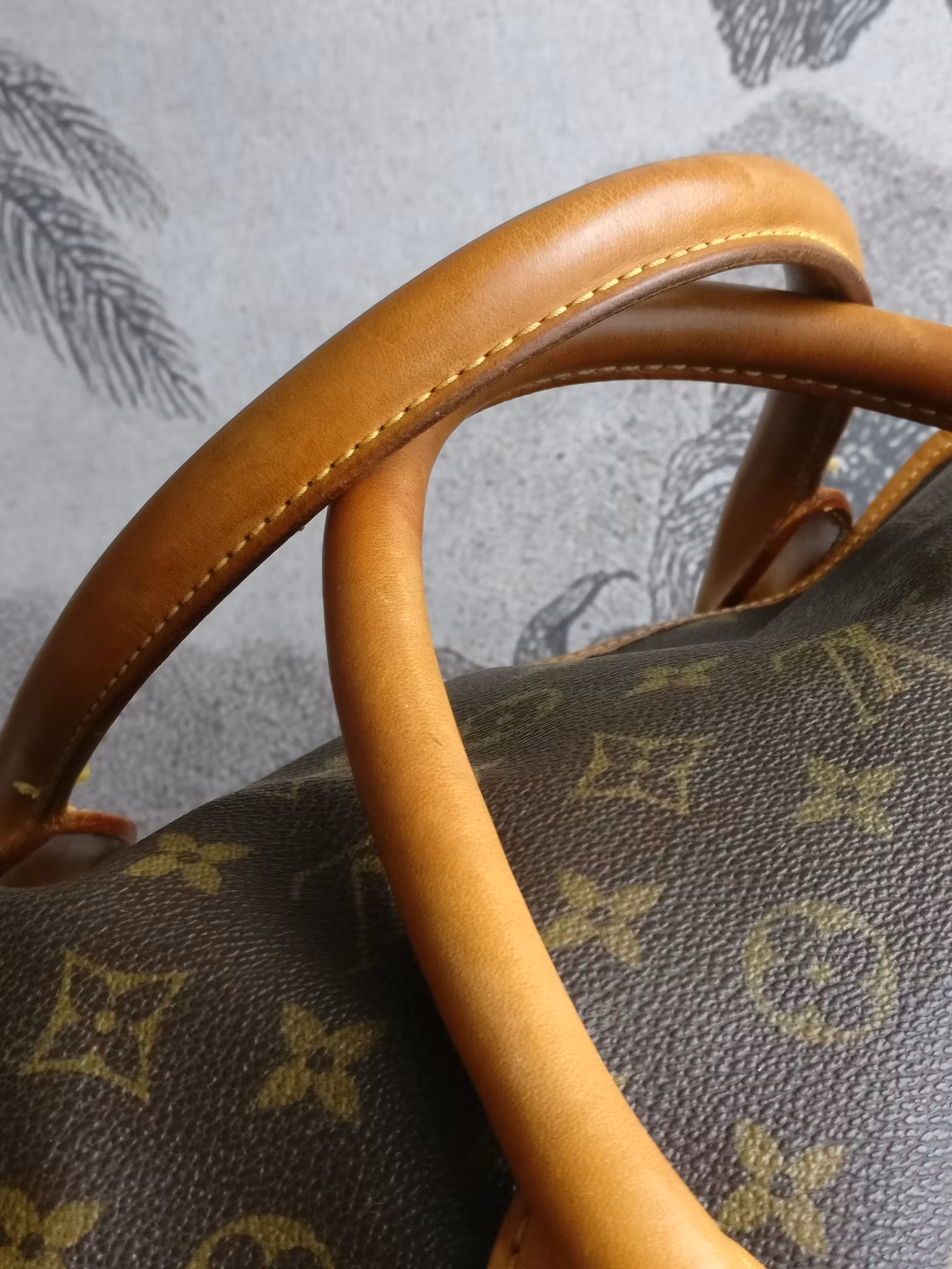 Louis Vuitton Dog Carrier 40 Sac Chien