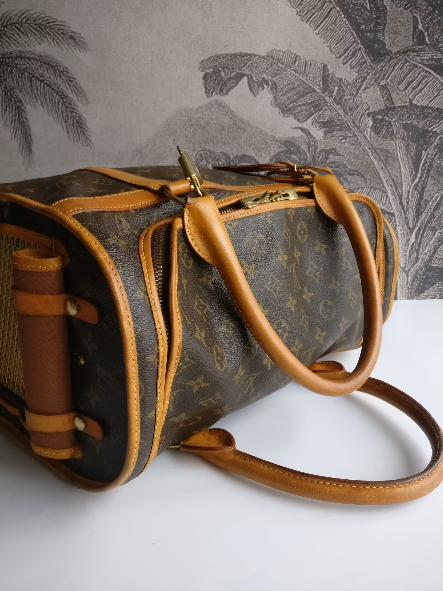 Louis Vuitton Dog Carrier 40 Sac Chien