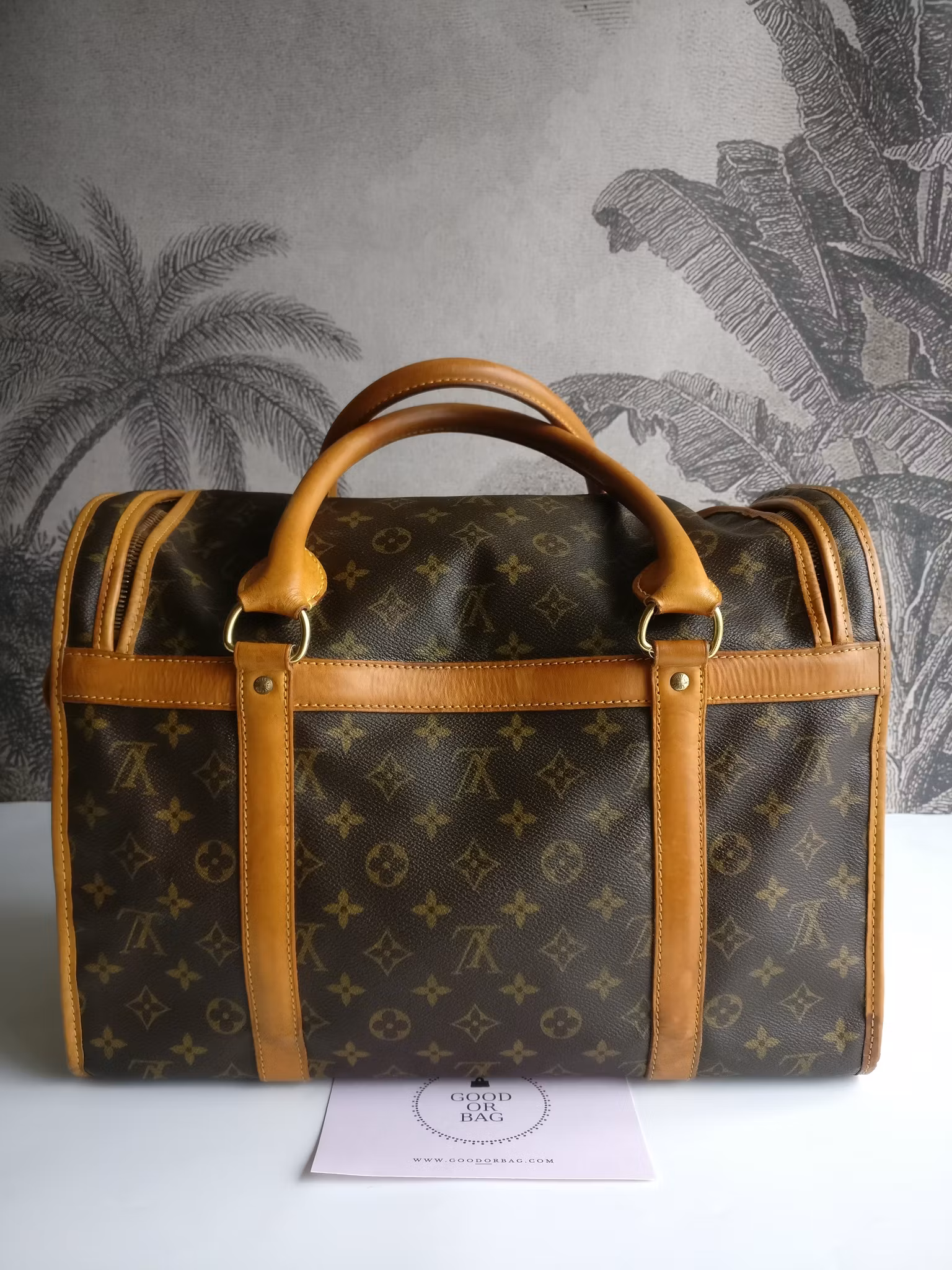 Louis Vuitton Dog Carrier 40 Sac Chien