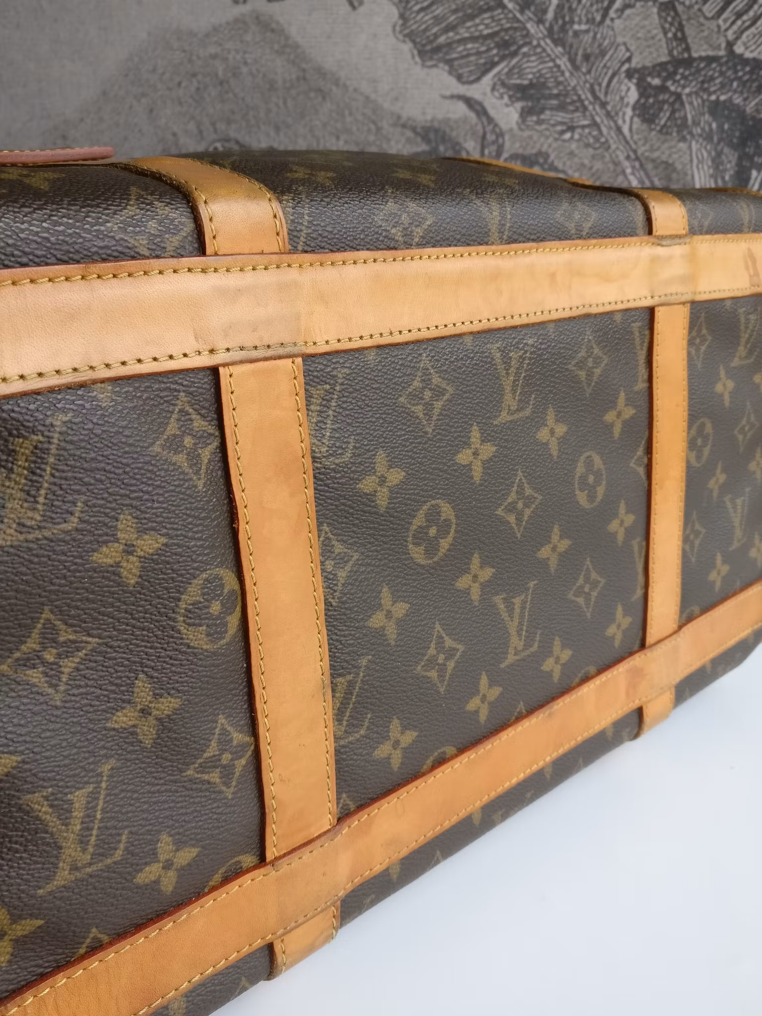 Louis Vuitton Dog Carrier 40 Sac Chien