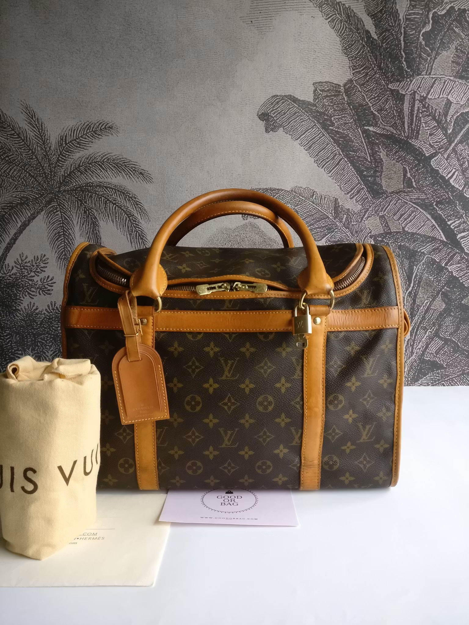 Louis Vuitton Dog Carrier 40 Sac Chien