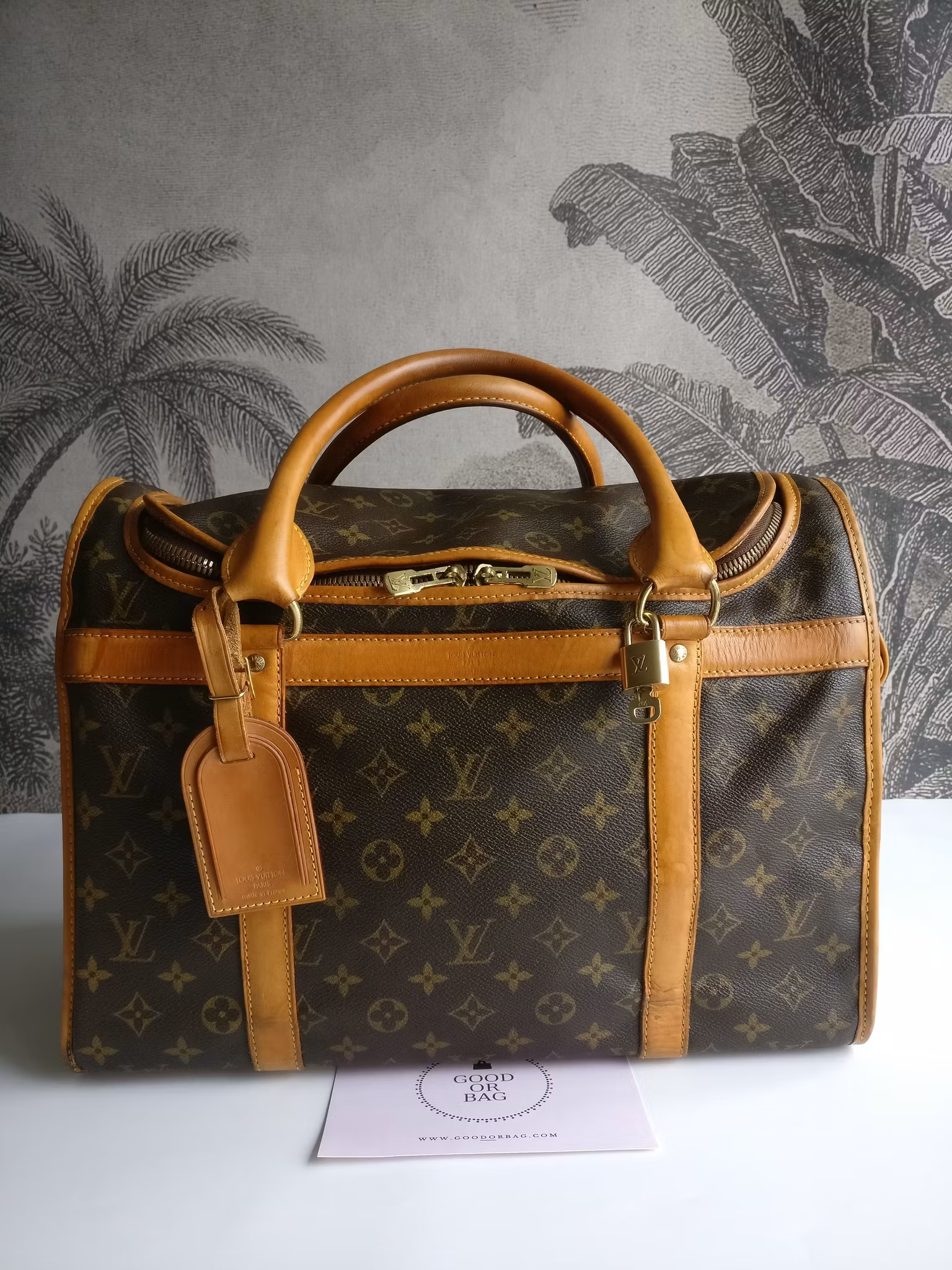 Louis Vuitton Dog Carrier 40 Sac Chien