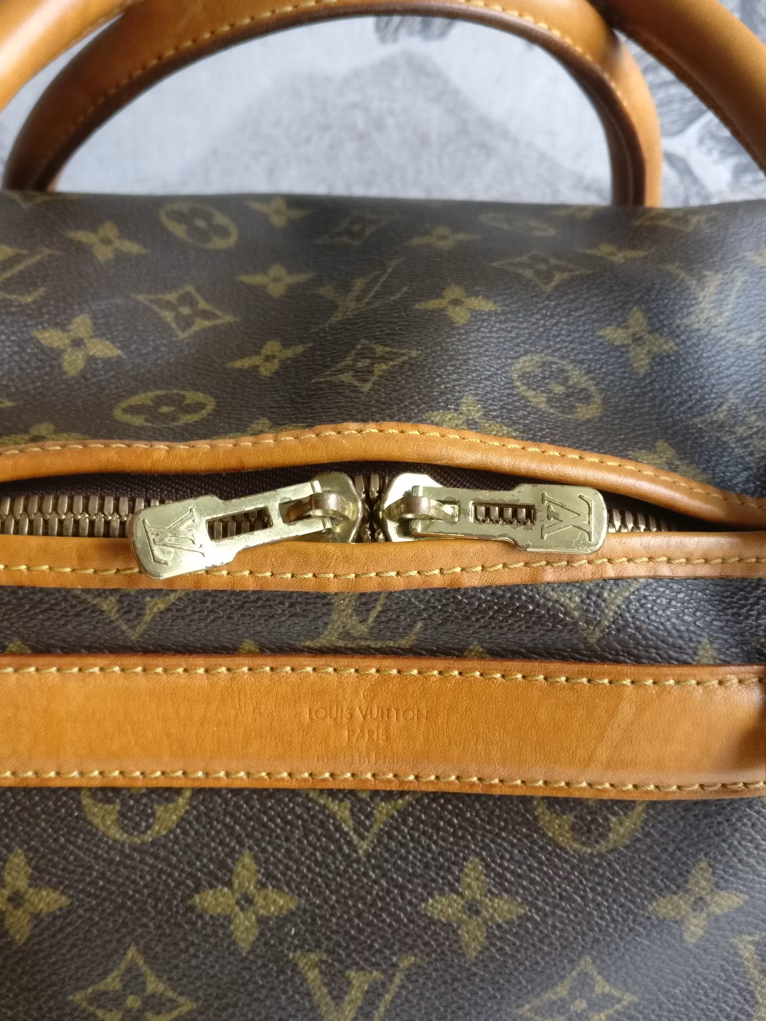 Louis Vuitton Dog Carrier 40 Sac Chien