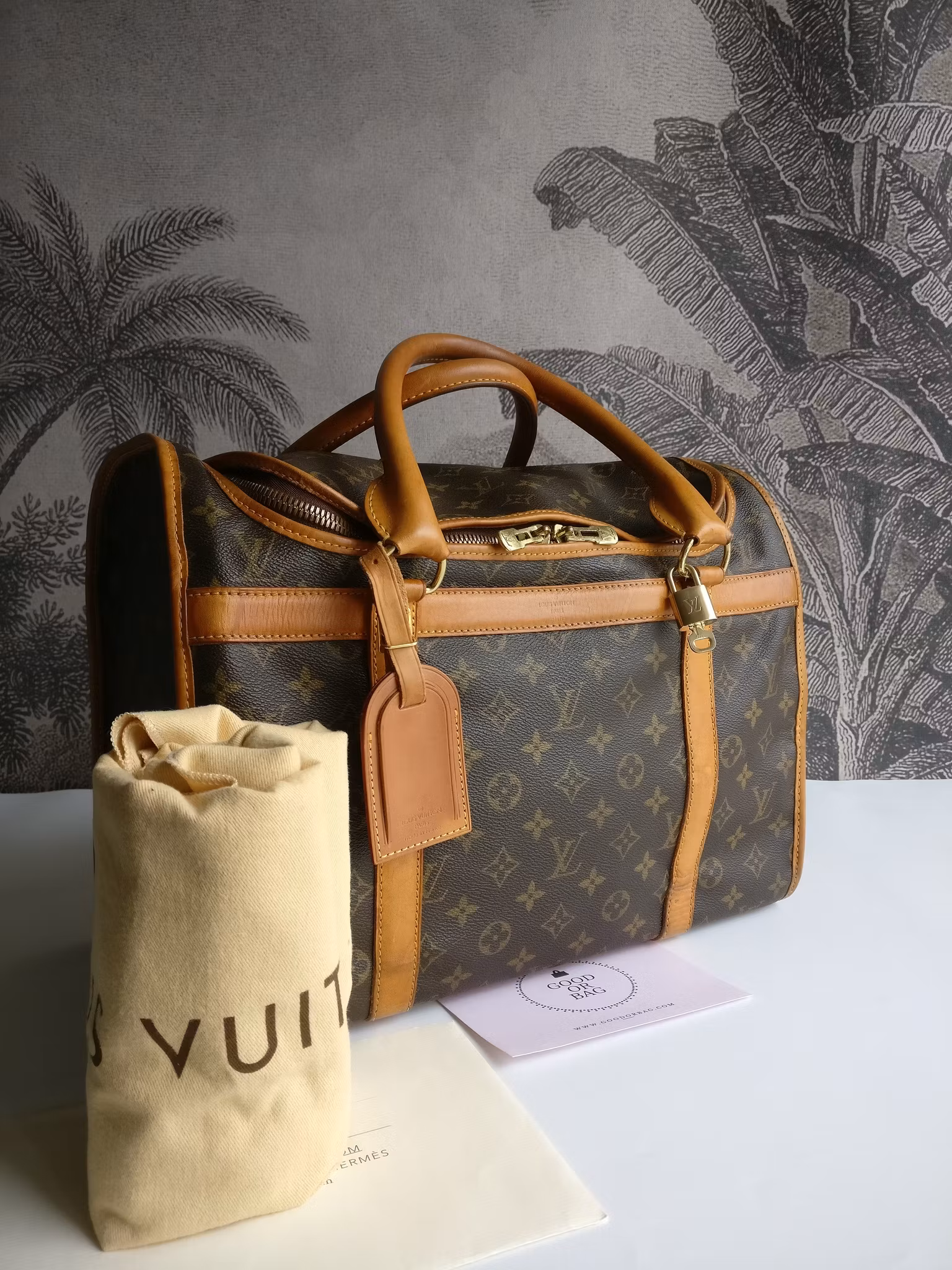 Louis Vuitton Dog Carrier 40 Sac Chien